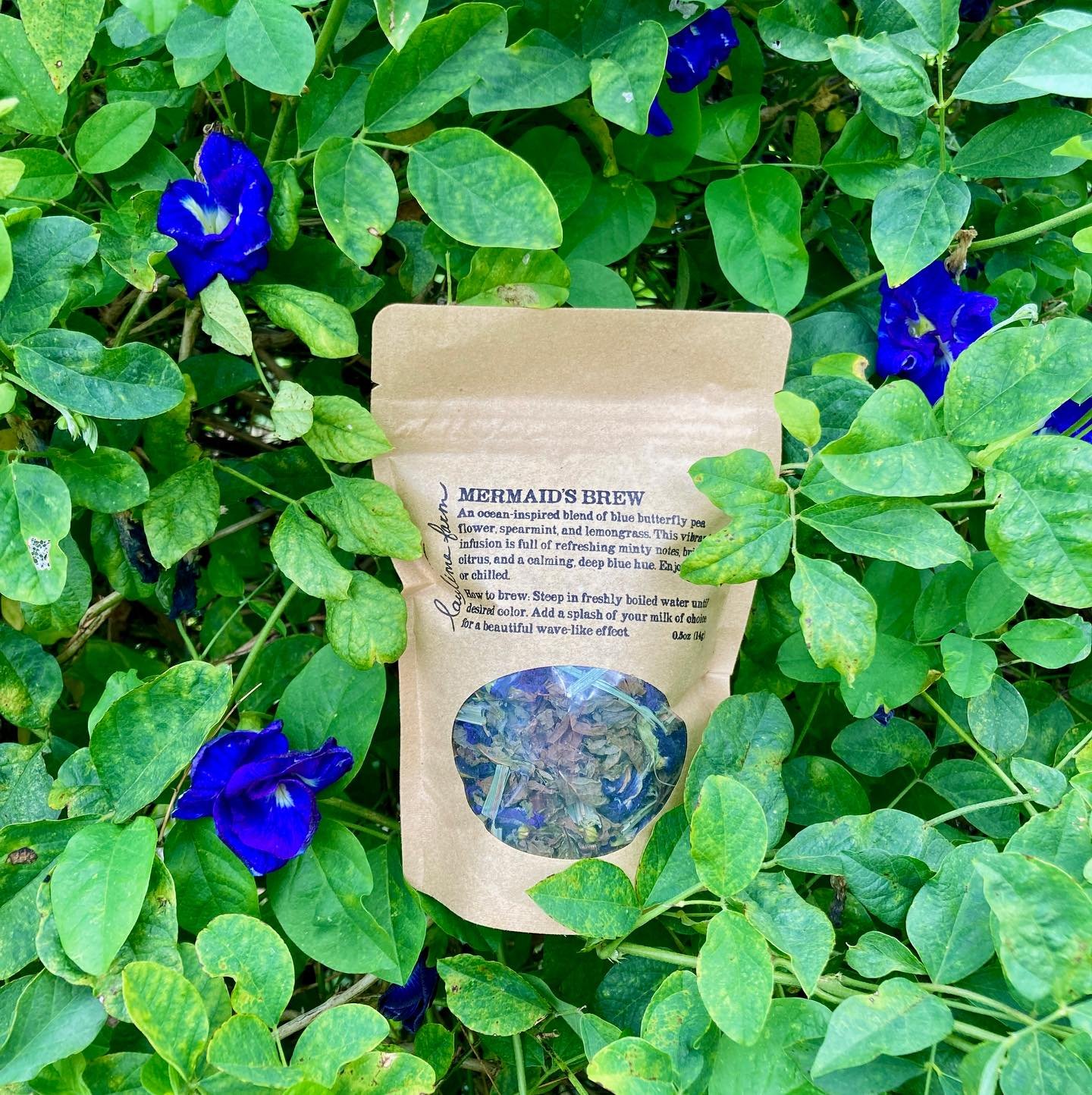 New tea blend at the stand and webshop! 
A magical, ocean-inspired blend of blue butterfly pea flower, spearmint, and lemongrass. Add a splash of coconut milk for a beautiful wave-like effect🌊
Link to webshop in bio
