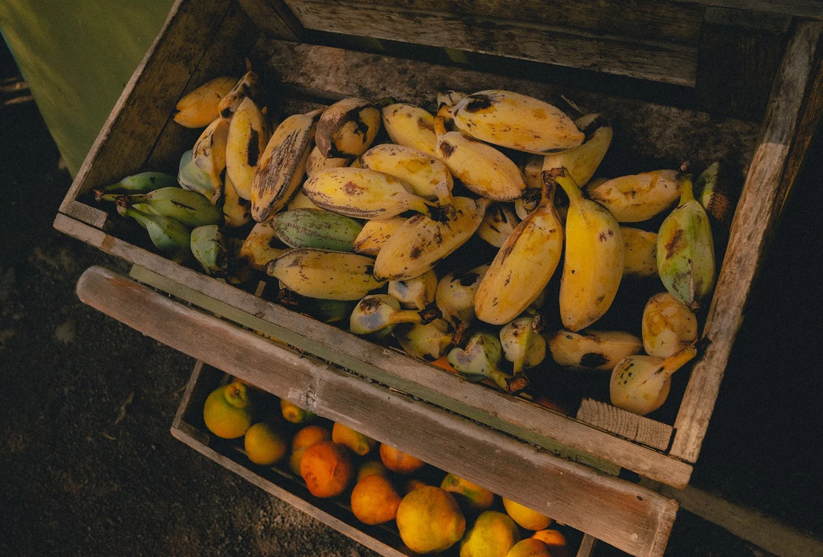 Wooden crates filled with ripe and unripe bananas and citrus fruits.