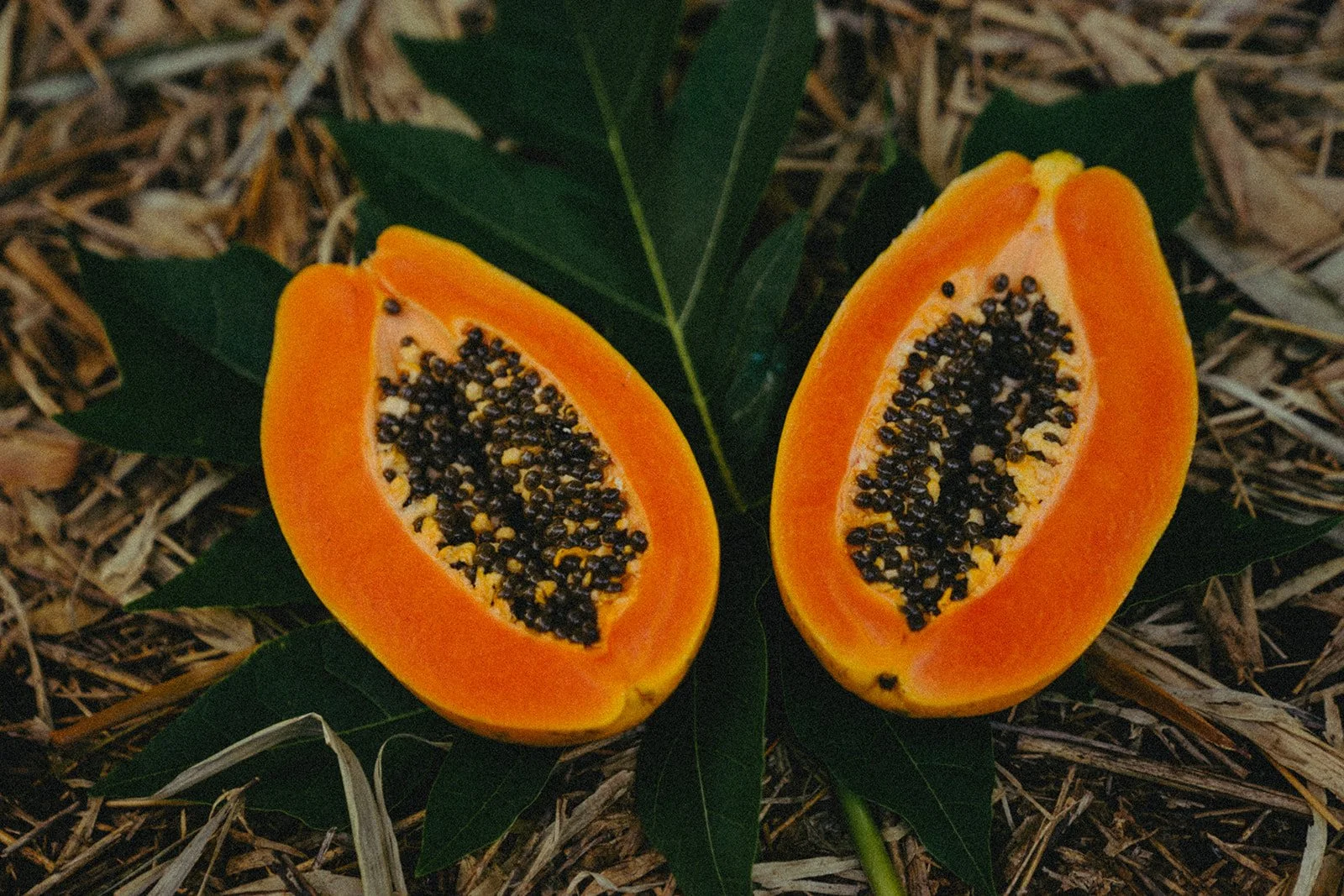 Two halved papayas with black seeds, placed on green leaves on a natural background.