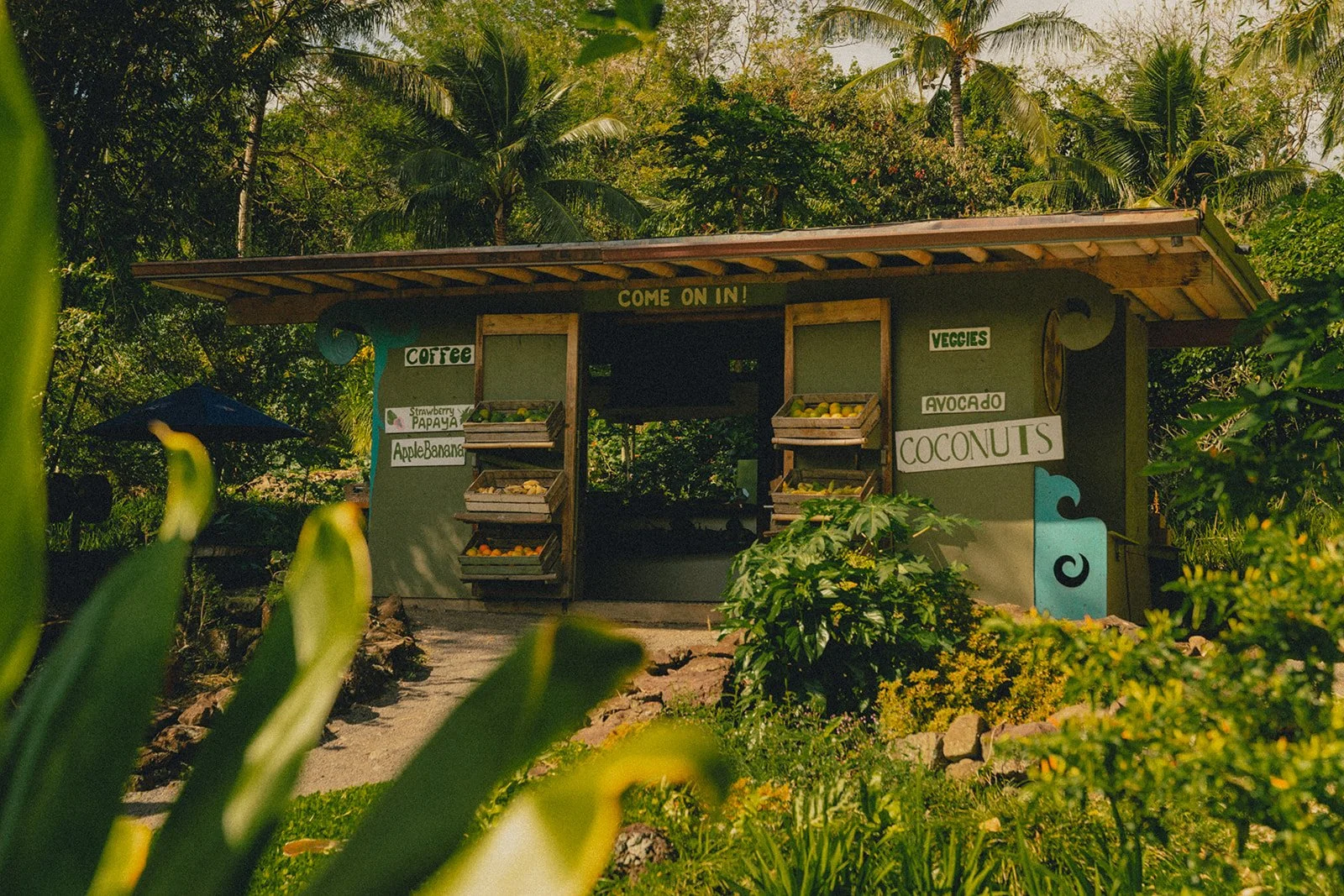Laulima Farm Farm stand on Road to Hana in Maui