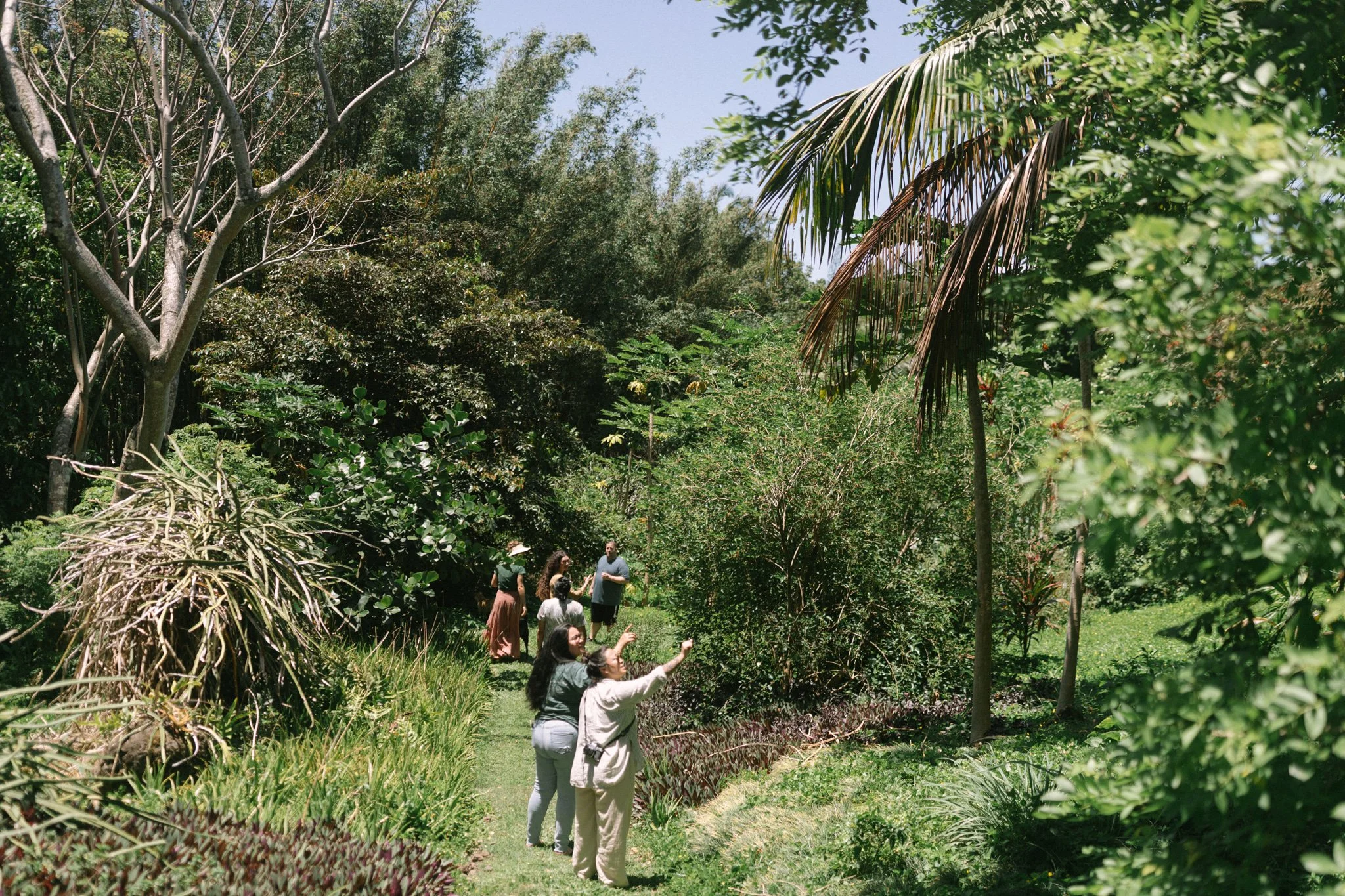 Laulima Farm82.jpg