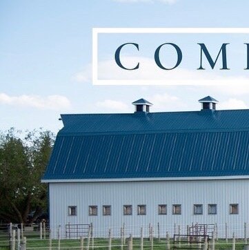 We are so excited to announce our new wedding venue coming this fall! Our century old barn was built in 1917 and is nestled on a 30 acre private equestrian facility, creating an authentic rustic atmosphere for your special day. Stay tuned as we gear 