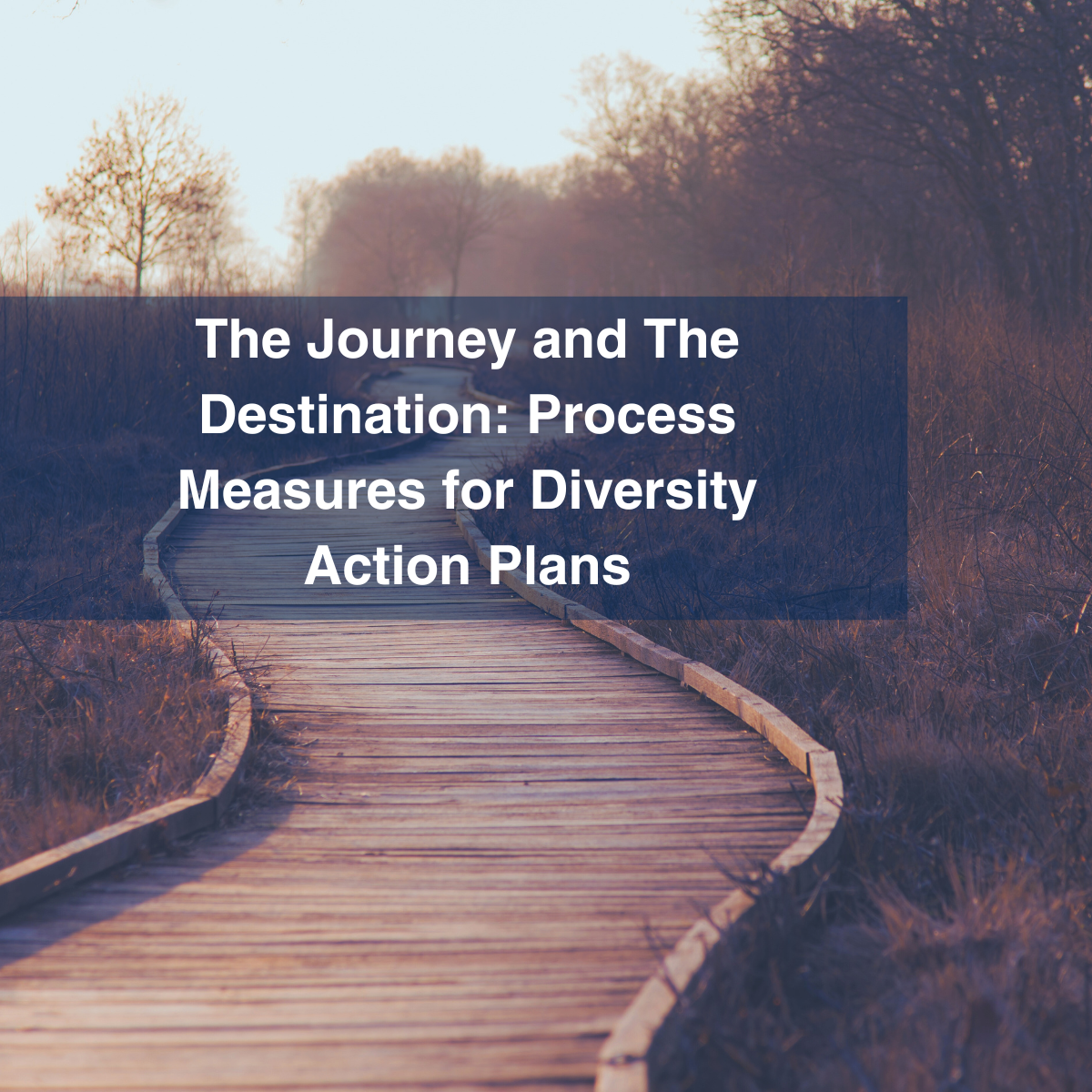 The Journey and the Destination: Process Measures for Diversity Action Plans