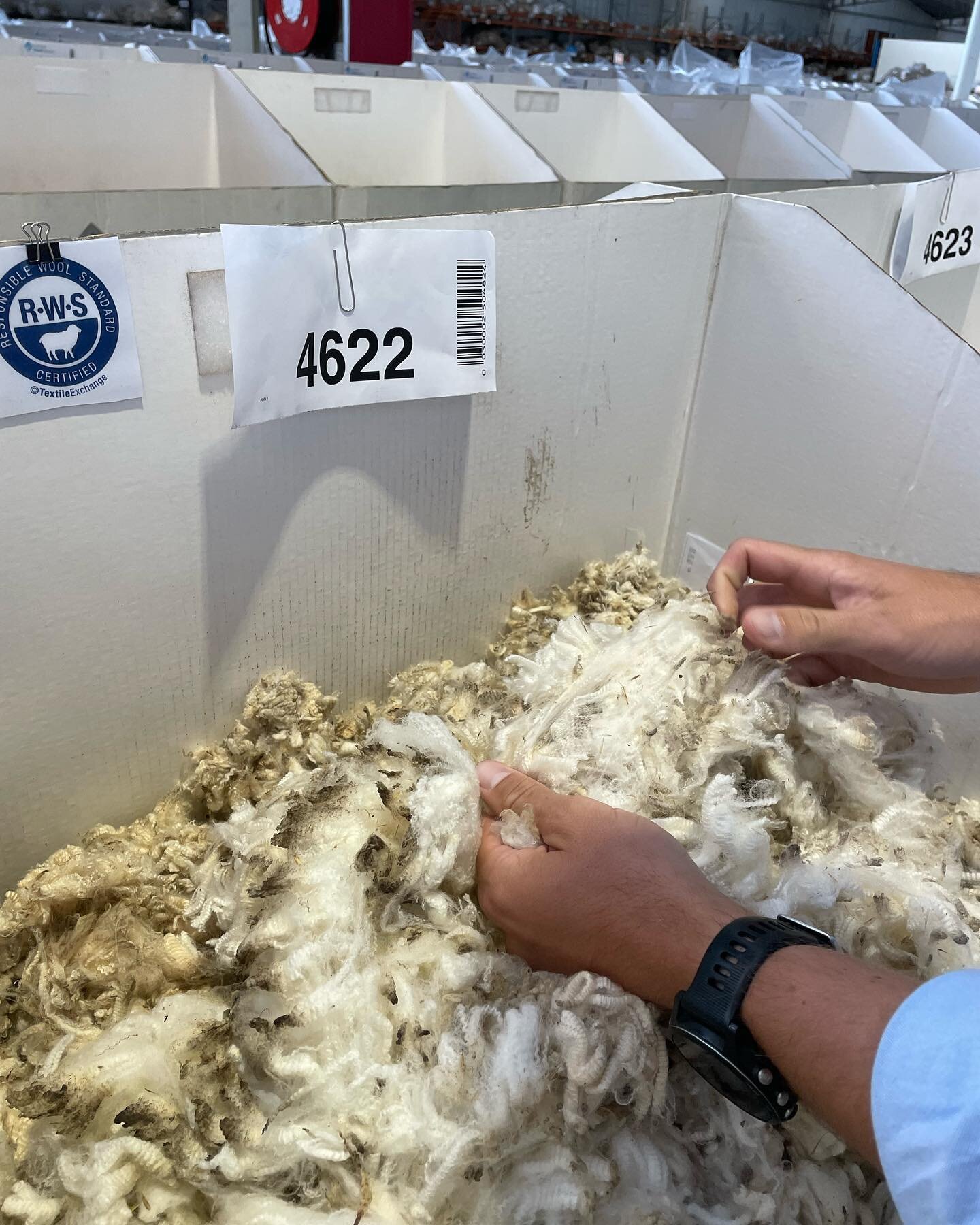 Superfine. A moment we are excited to share. Today we purchased our finest lot of wool to date. 14.9 micron. To those who are interested, the average human hair is 70 micron. That&rsquo;s superfine.
