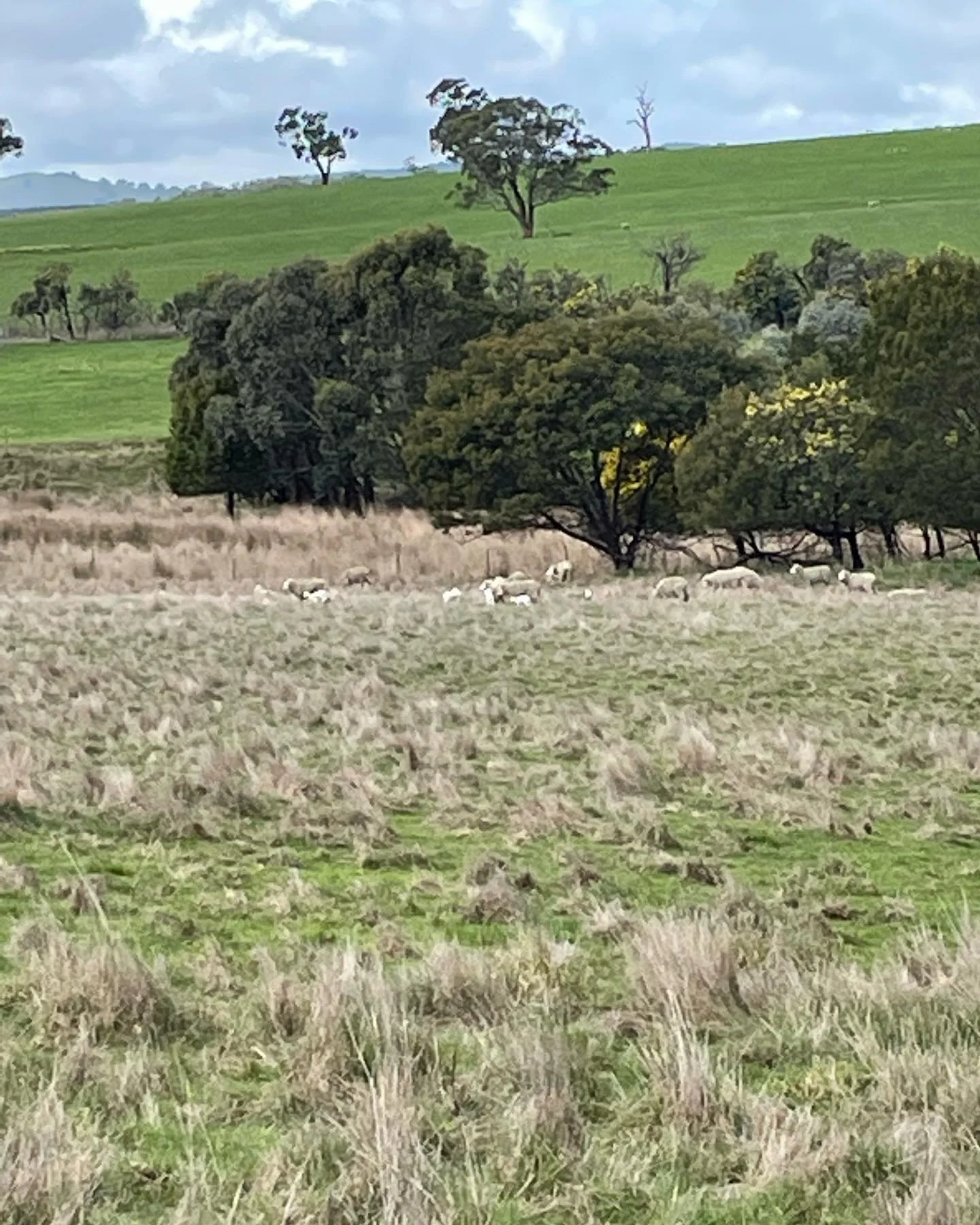 What an investment! Investment in time, shared knowledge and shared passion in how wool can be the Fibre of the Future