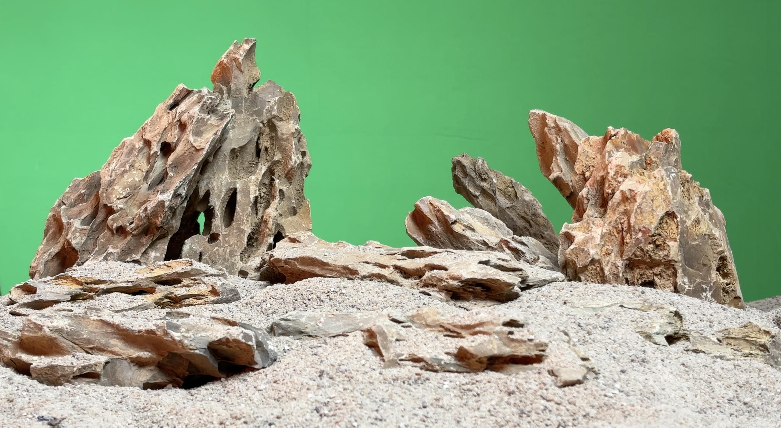 Screenshot 2026-03-18 at 1.24.48 PM.png