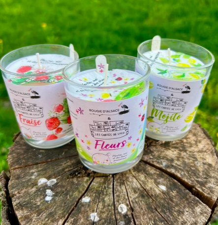 Bougies Parfumées "à planter"