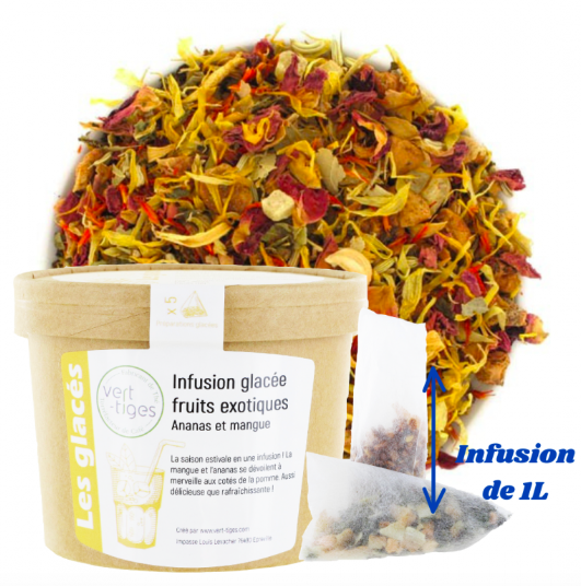 Infusions Glacées "Fruits Exotiques"