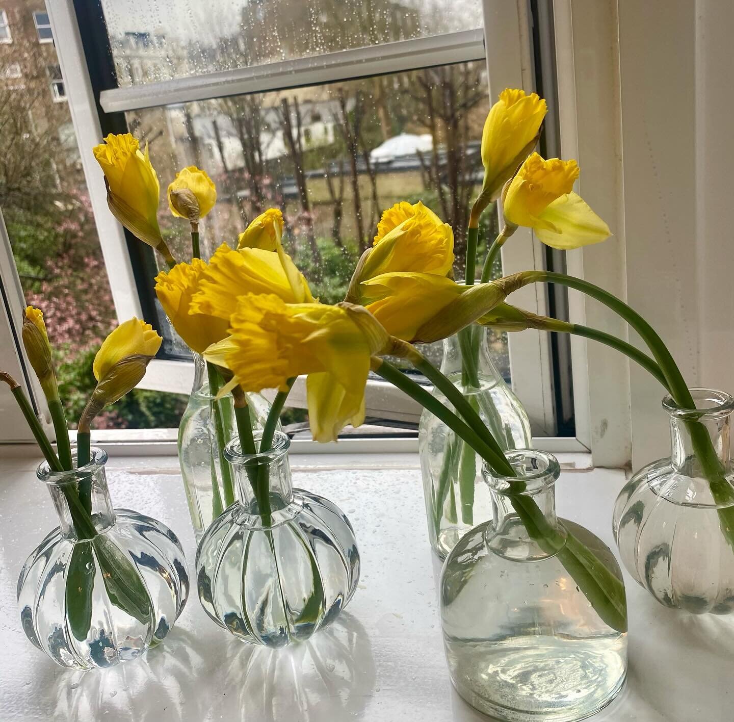 Me and my daffies. It&rsquo;s been raining for chapters on grey skies, but these shots of yellow pierce the dull morning. 

Brolly, boots and &lsquo;The History of London in Four Drinks&rsquo; - cosy pubs on order. 

Saturday vibes &hellip;

.
.
.

#