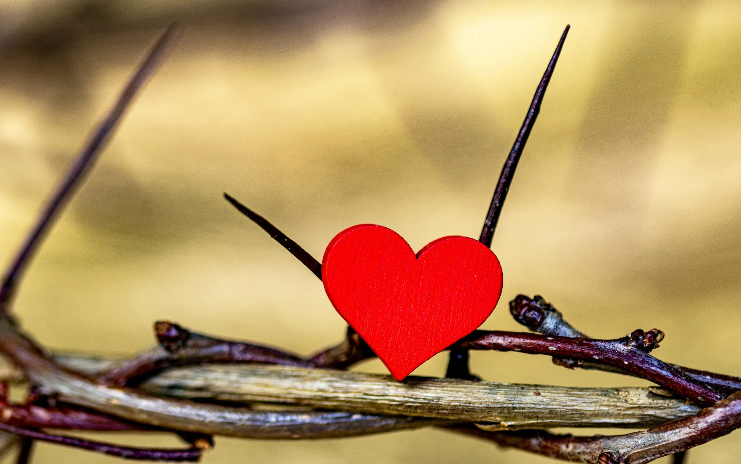 Guarding the Heart: Where Life Truly Begins