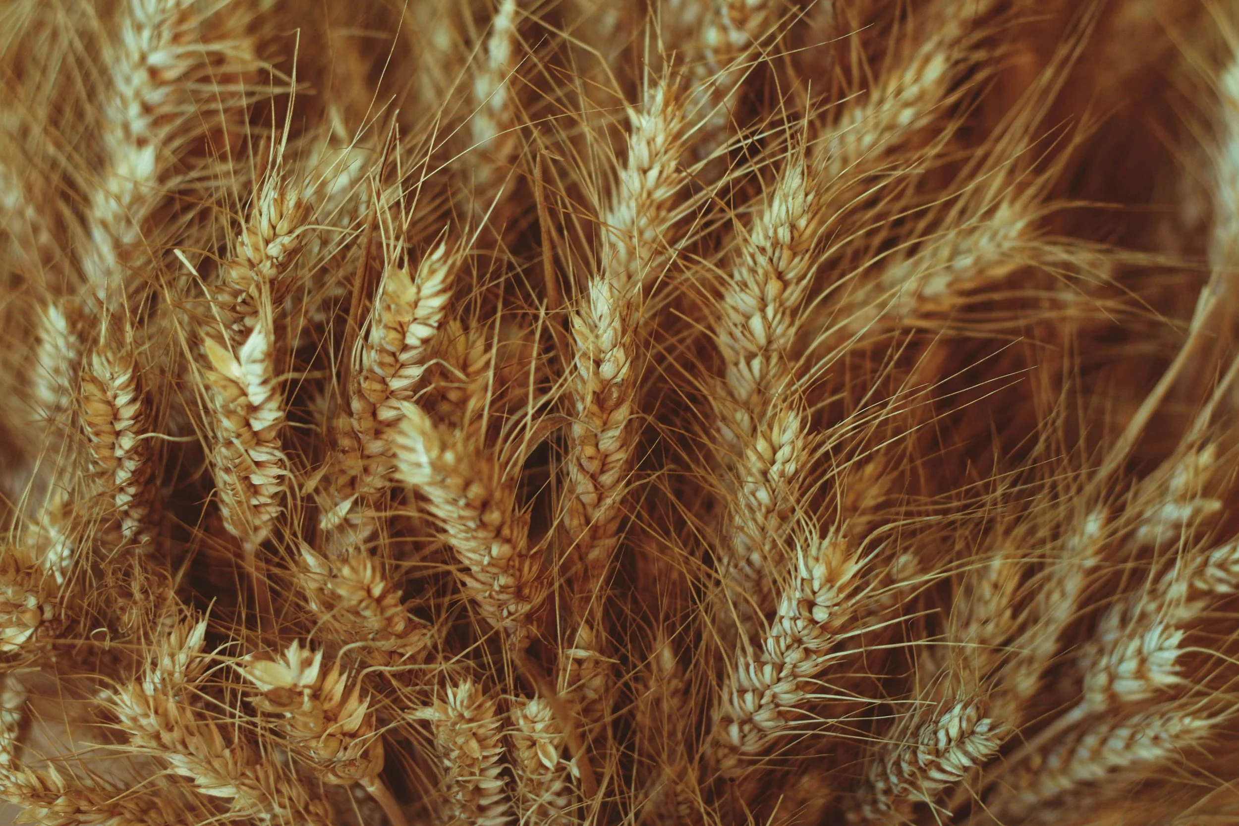 Sowing for the Sake of Others: Reaping What We Sow