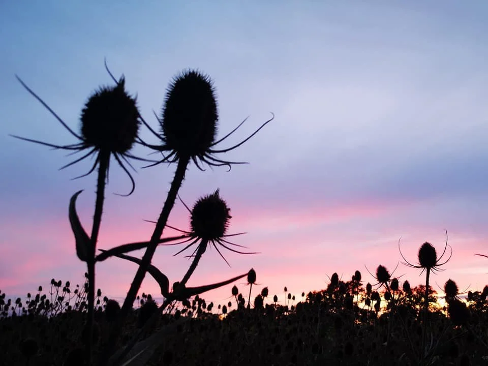 FreeSpirit Camp 2020 - 117.jpg