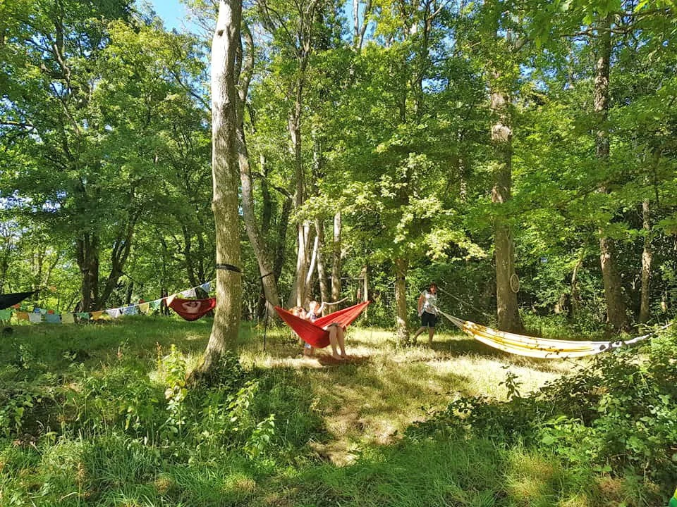Hammocks.jpg