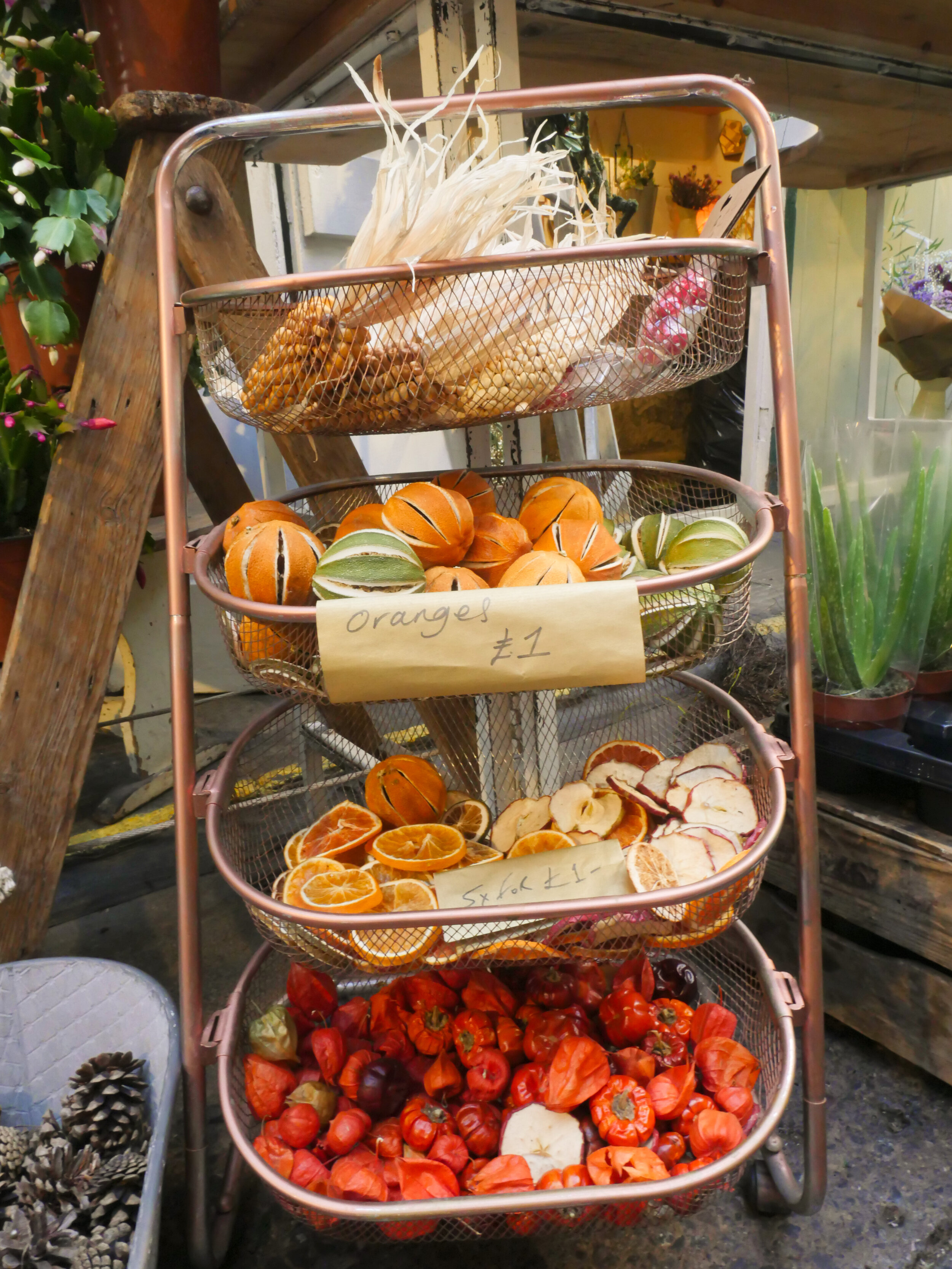 dried oranges.jpg