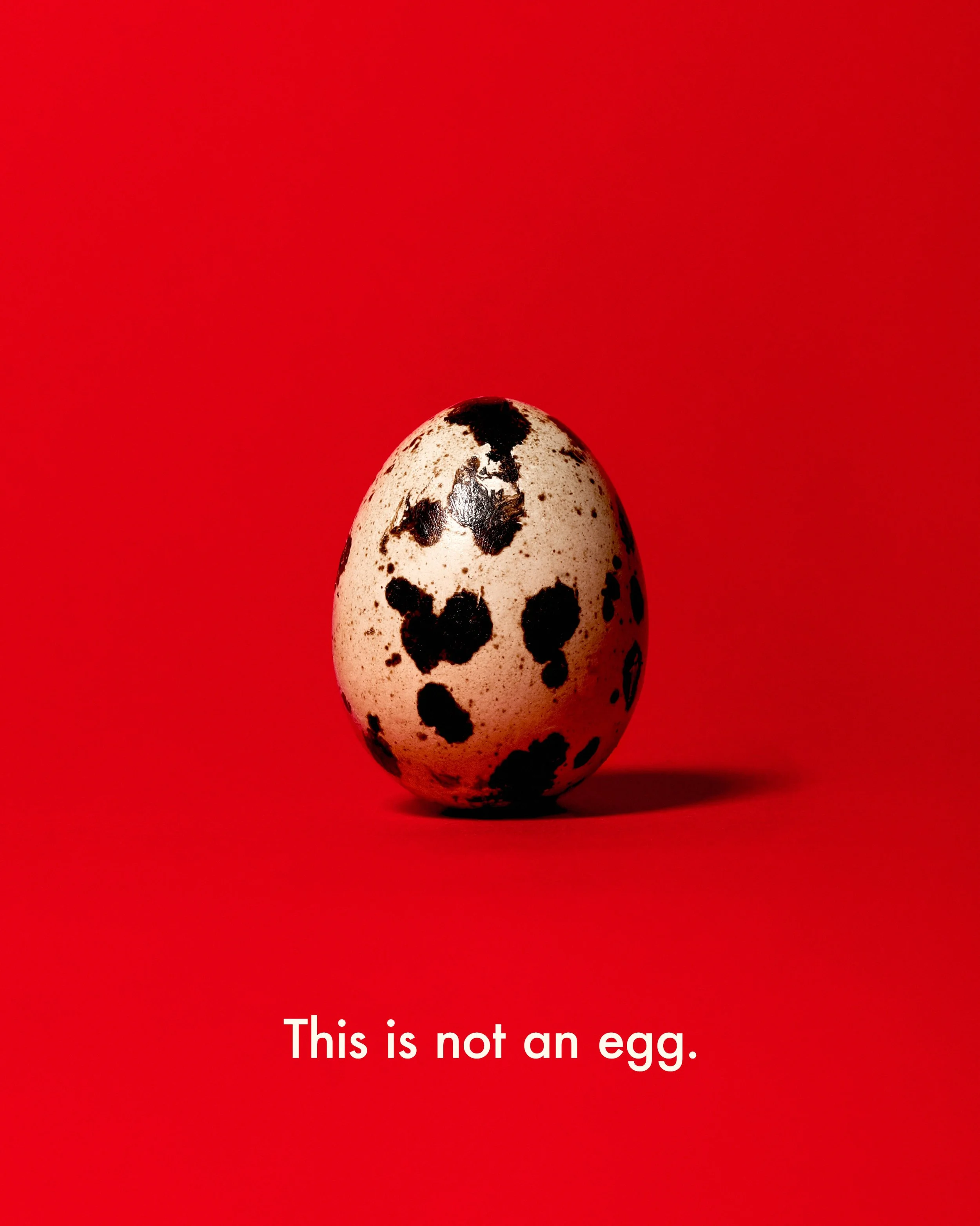 not-an-egg.jpg