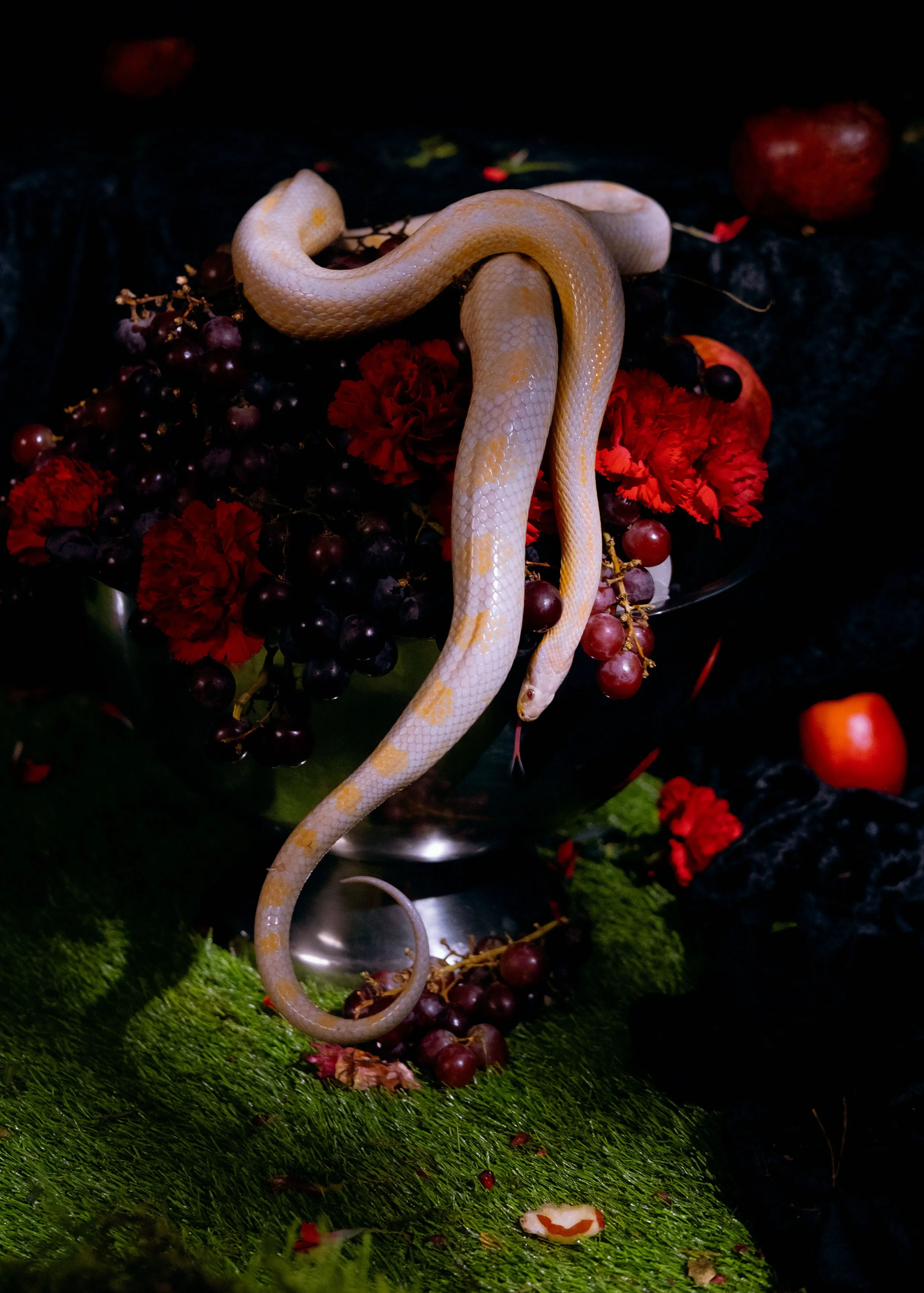 _DSF0648.jpg
