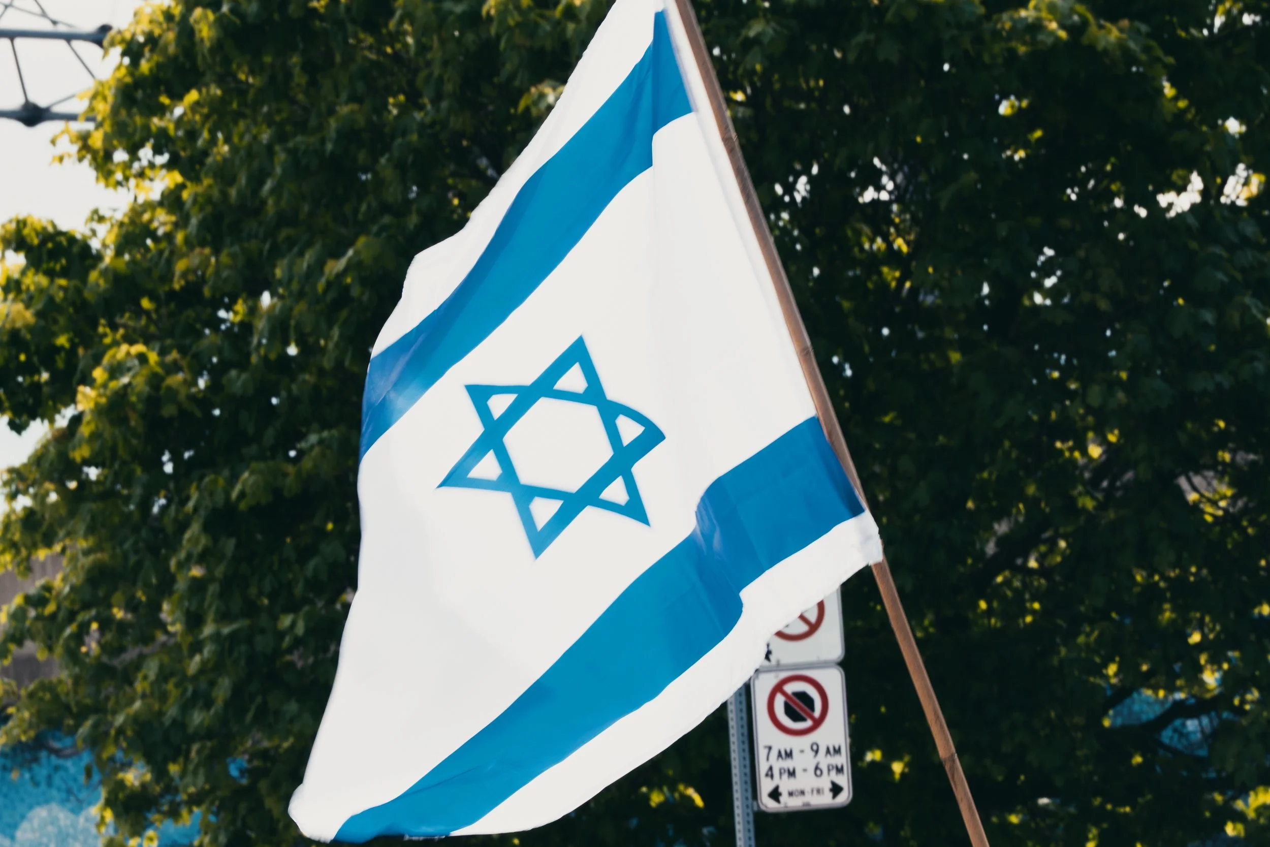 _DSC1204.jpeg