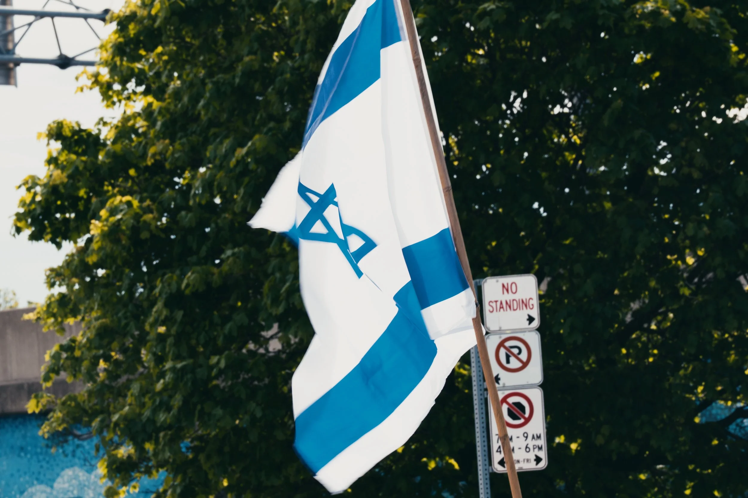 _DSC1199.jpeg