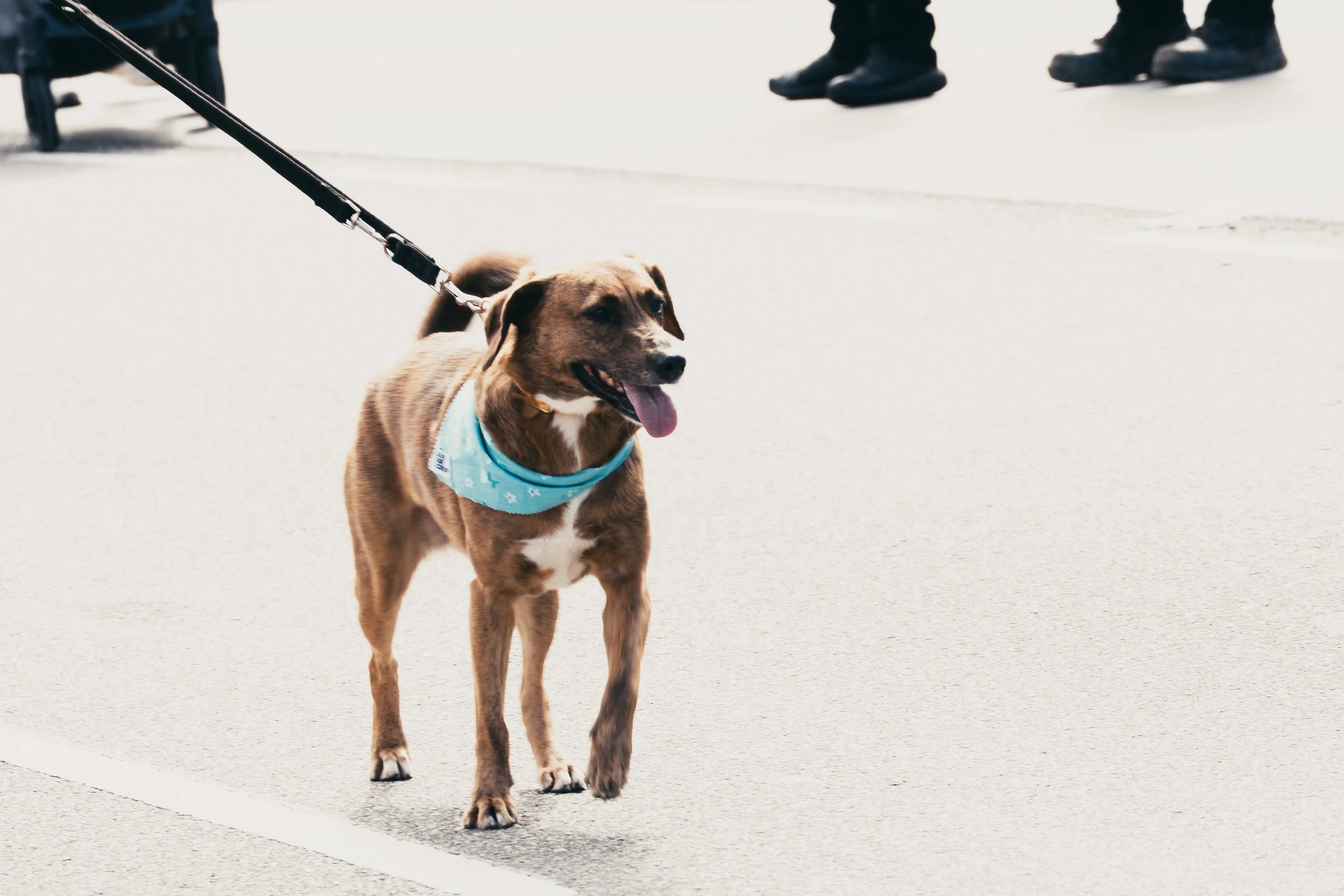 _DSC1142.jpeg