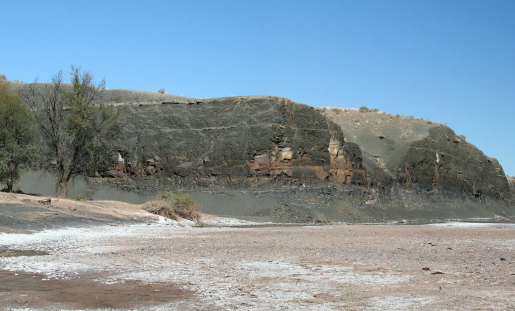 Calibrating palynostratigraphy