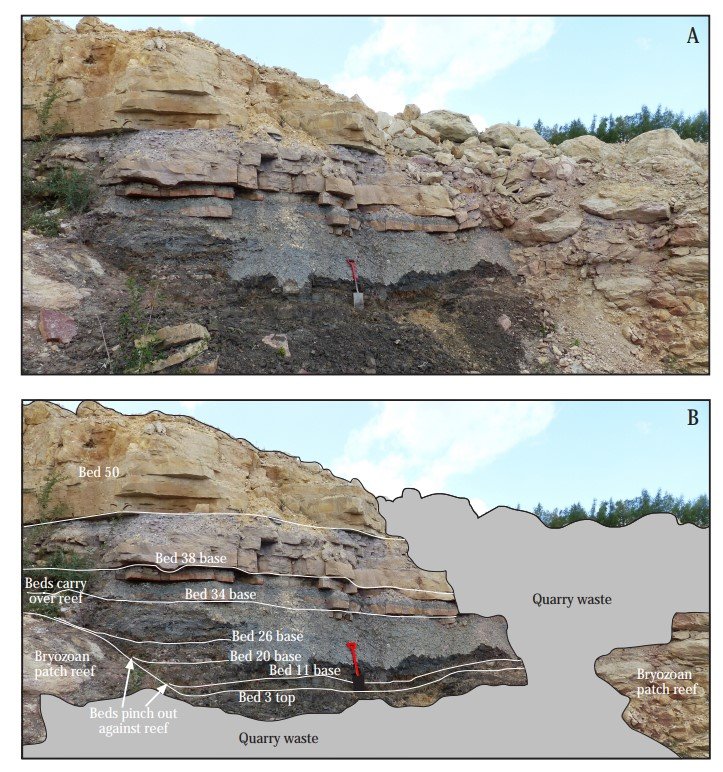 Improved UK Zechstein palynology