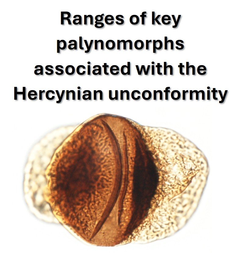Key Hercynian palynomorphs