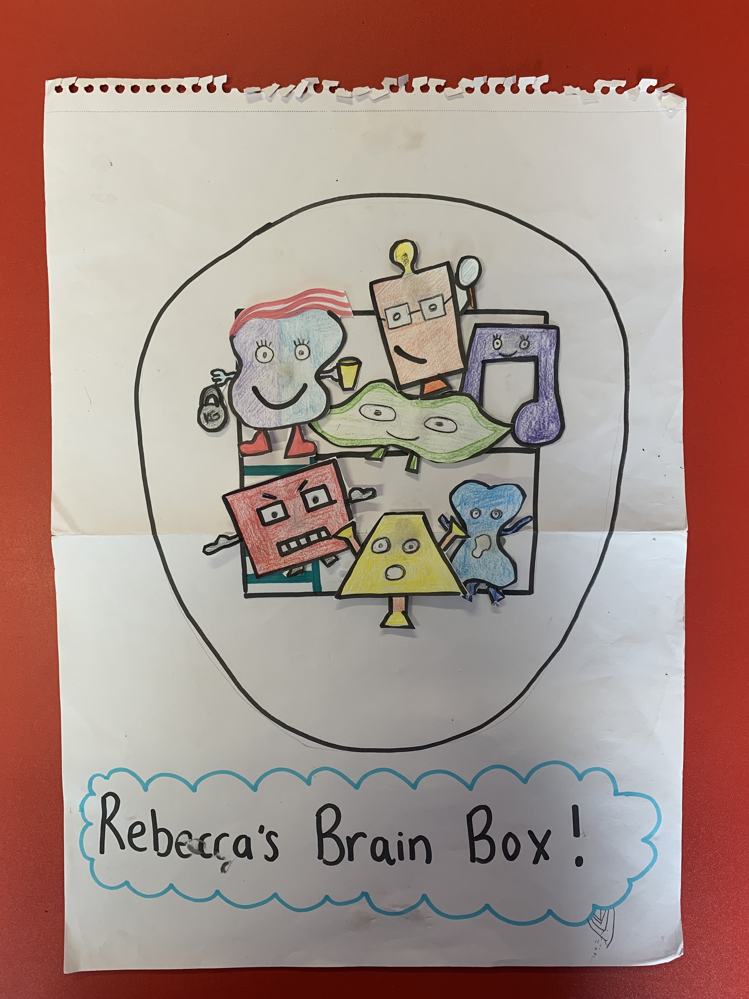 Our Brain box 