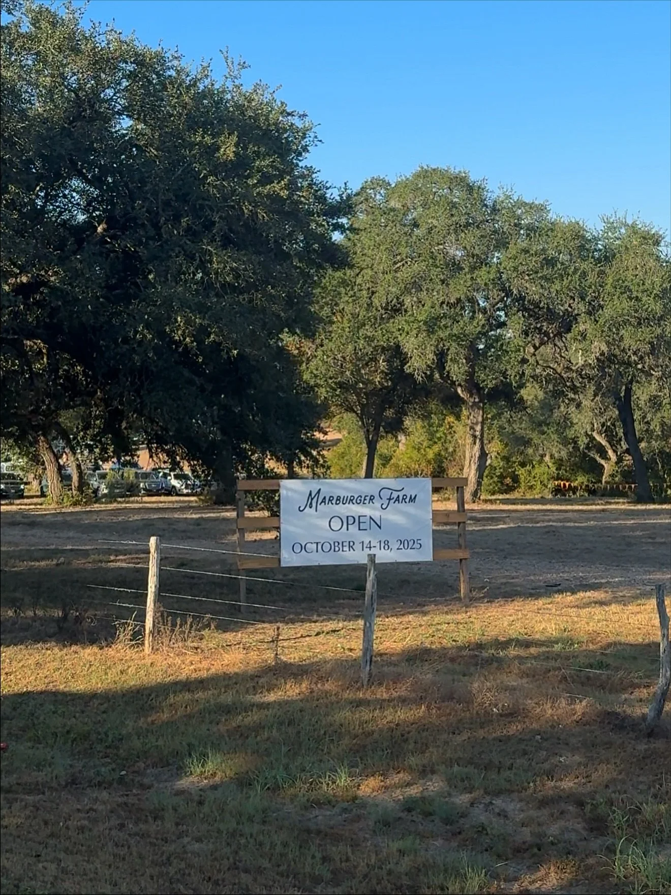 First time @marburgerfarm and WOW! 43 acres of treasure hunting heaven&hellip; Beautifully curated, full of rare and unique finds, inspiring artists, and endless style. Definitely a stop to add to your Round Top list &amp; one you&rsquo;ll want to sh