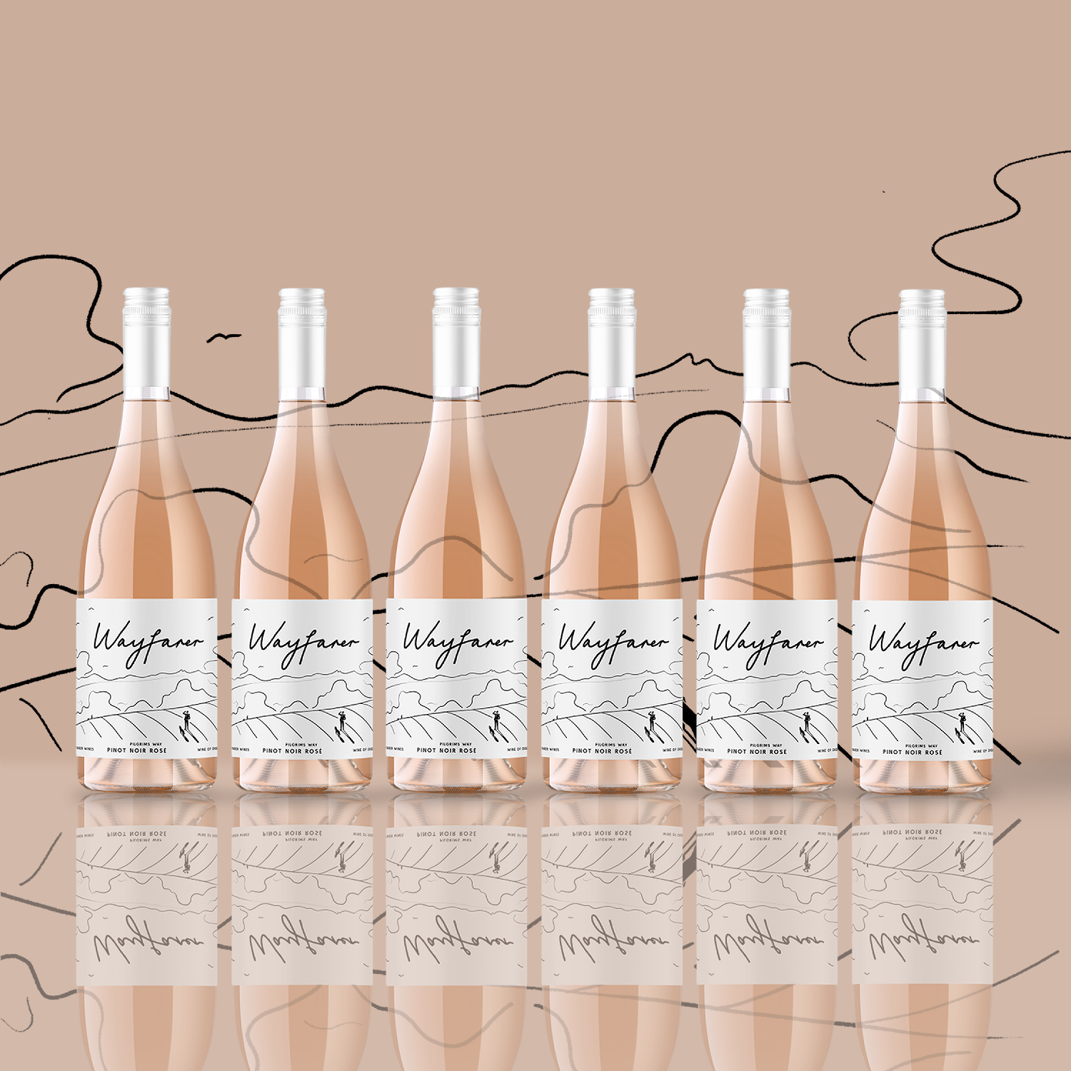 Website Case - Pilgrims Rose-1.png