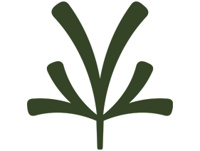 Verdant.png