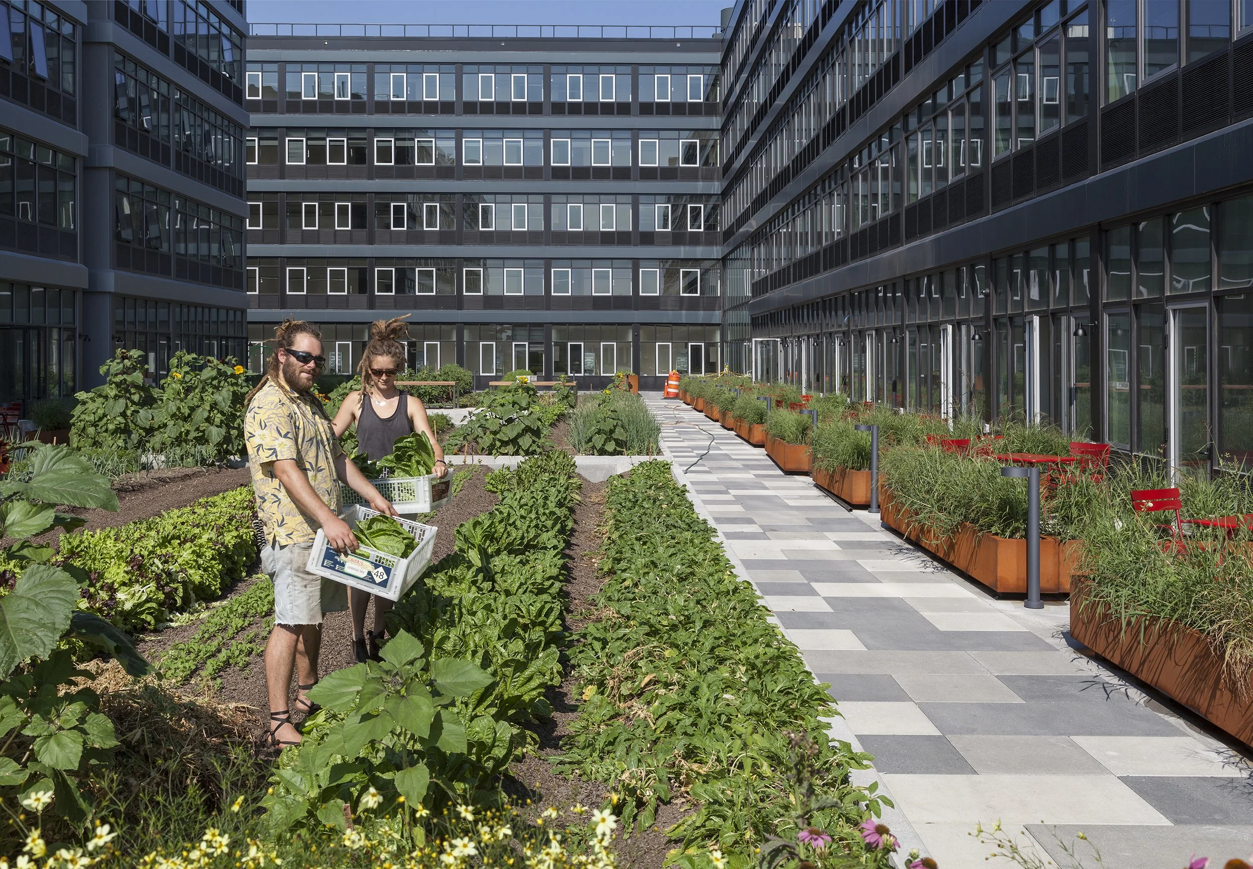 buurtwinkel - moestuin.jpg