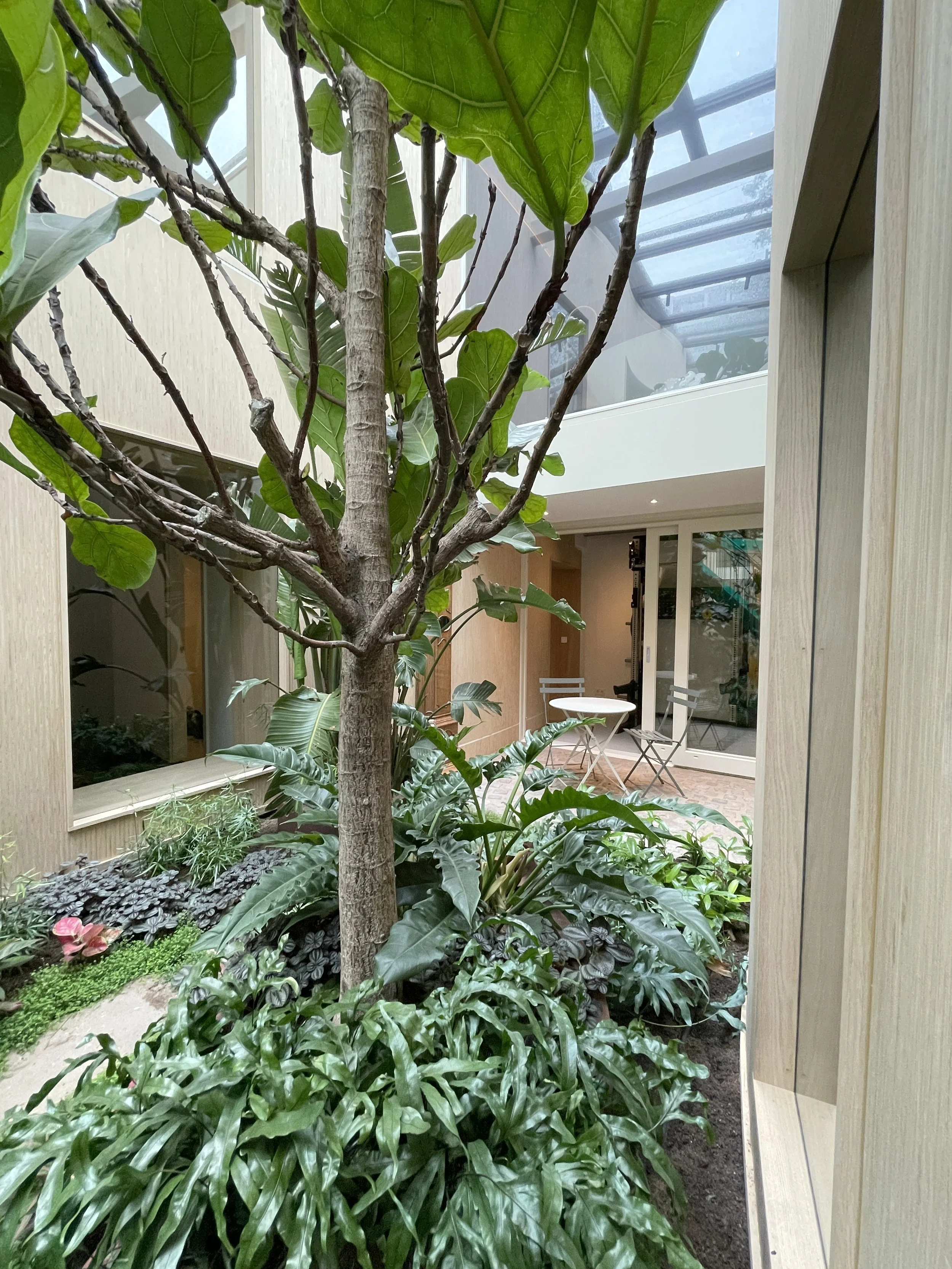 RC4 patio.jpg