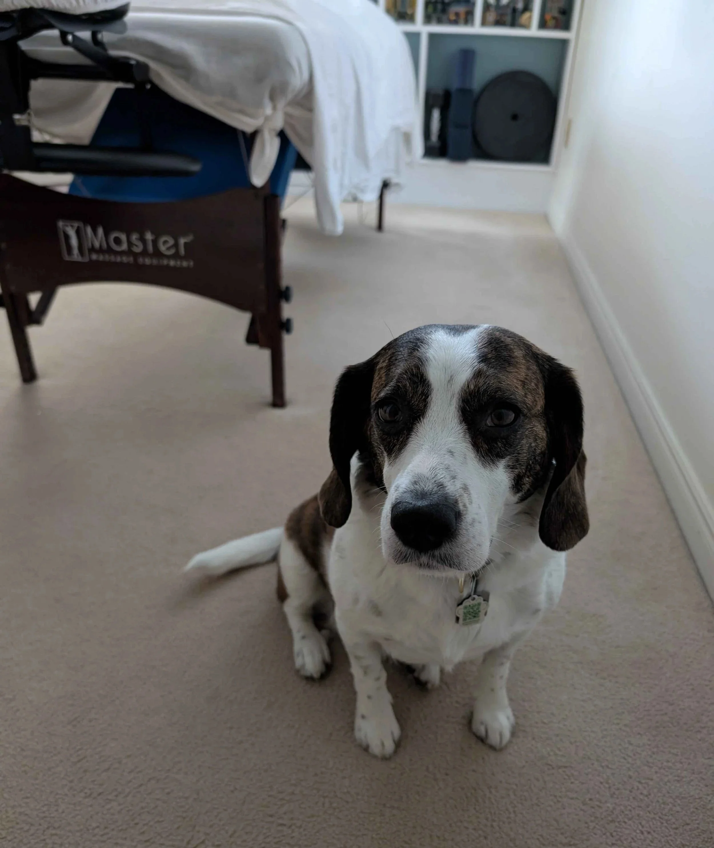 Clinic Assistant Balu