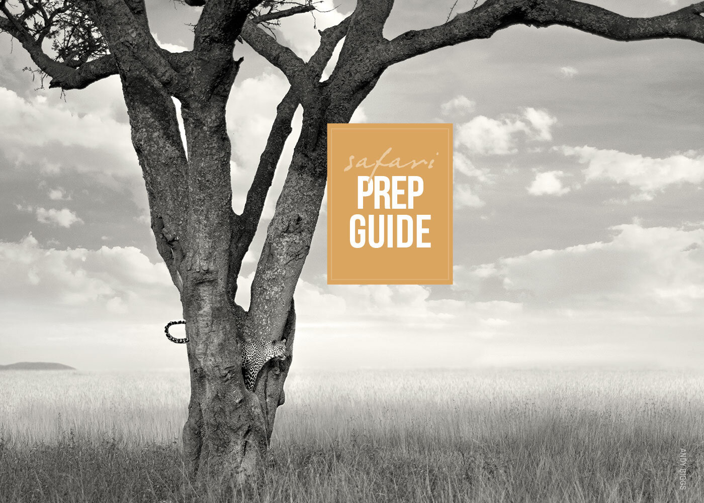 prep-guide-cover-wide2.jpg