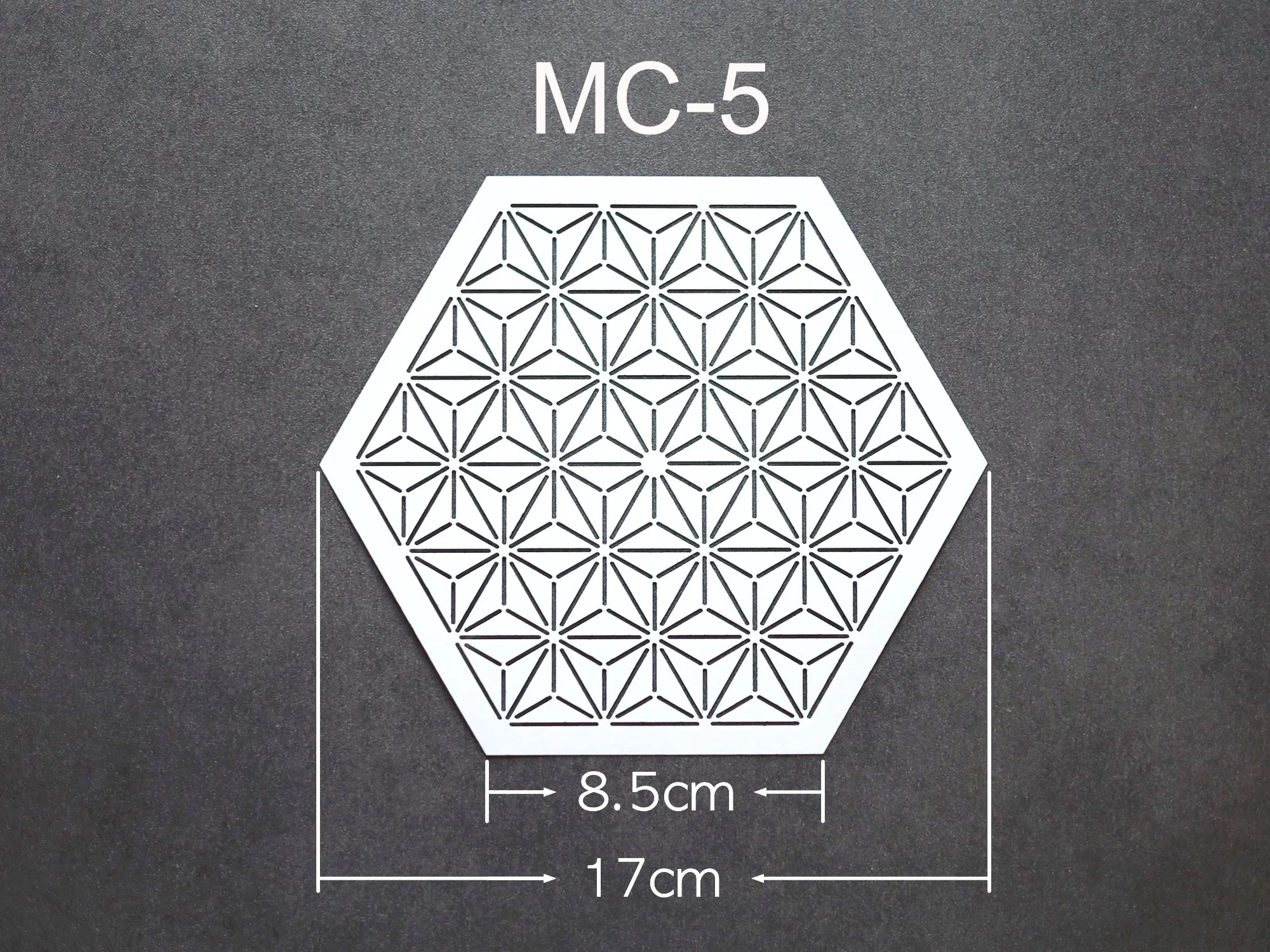 MC5_t.jpg