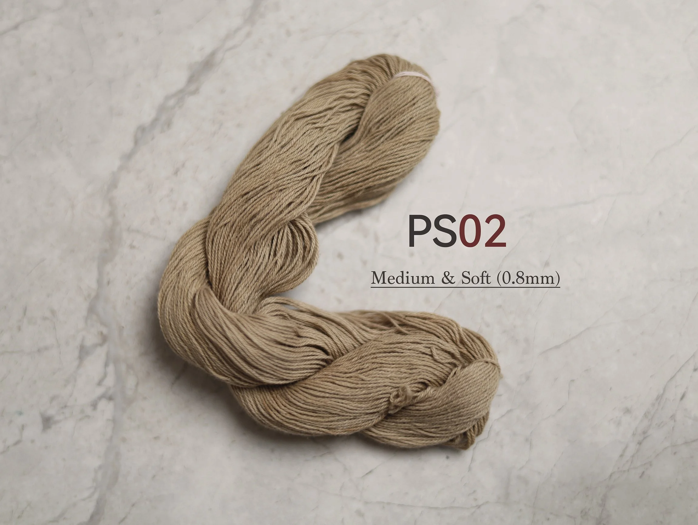 PS02_t.jpg