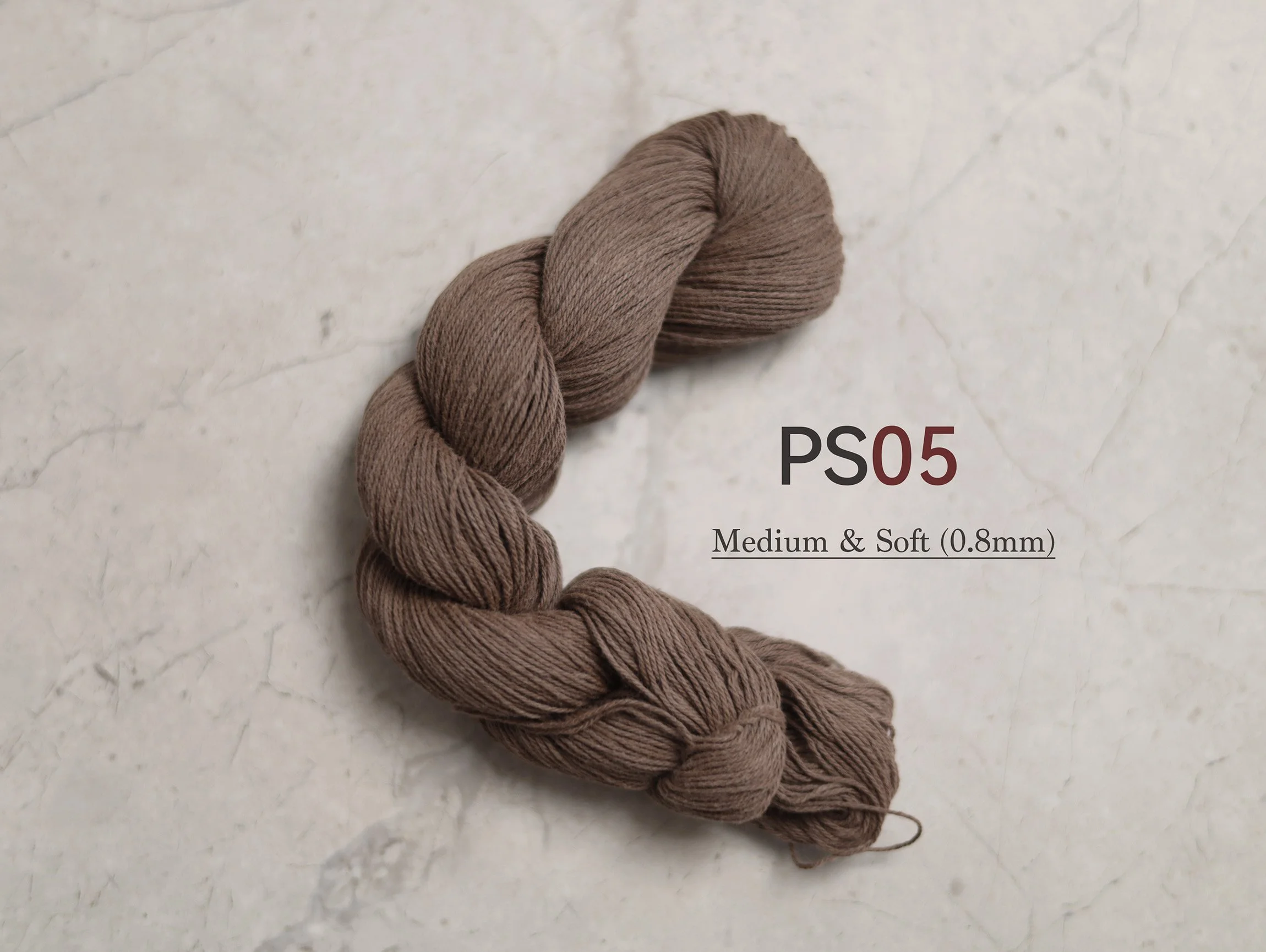 PS05_t.jpg