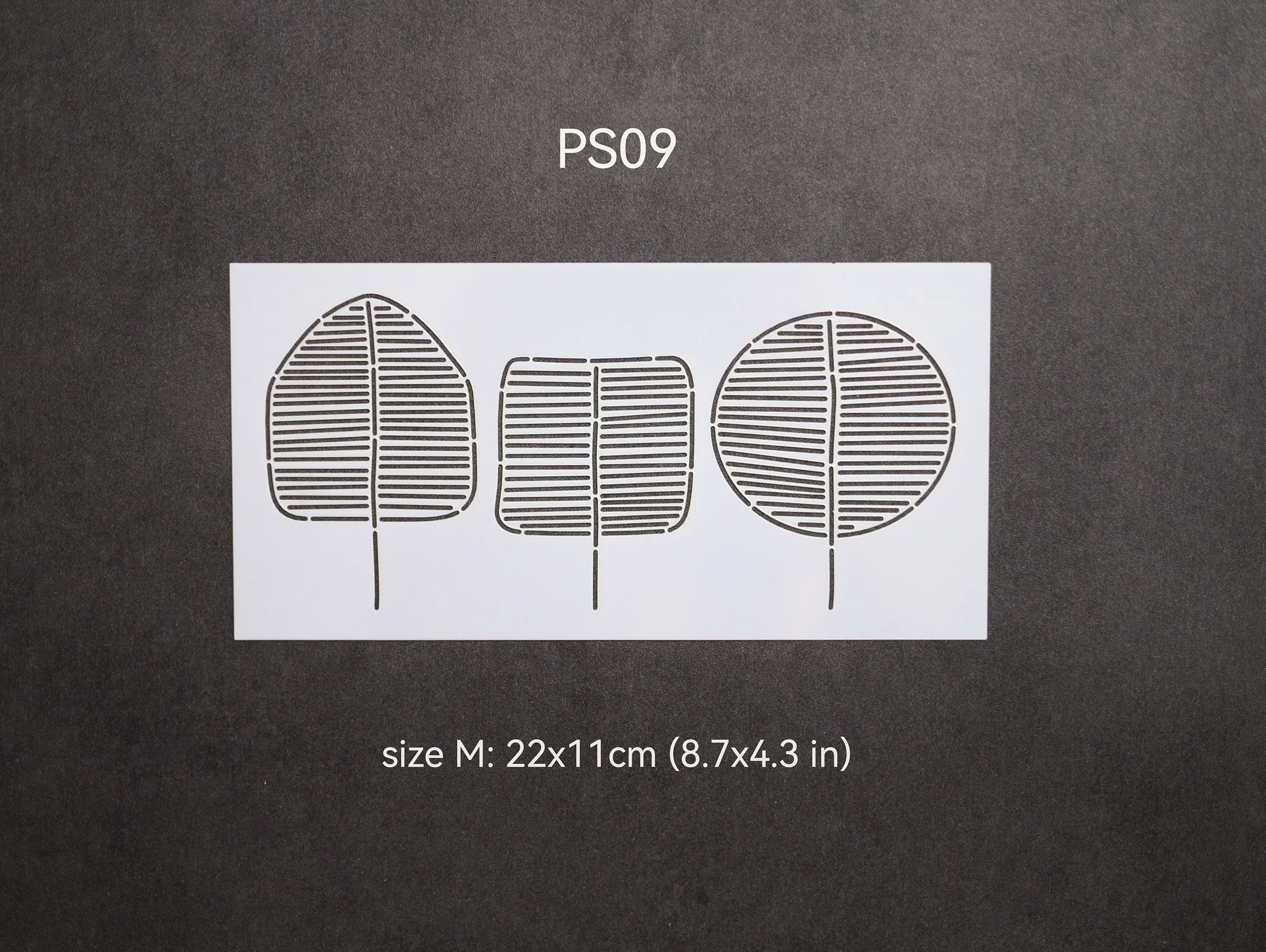 PS09-M.jpg