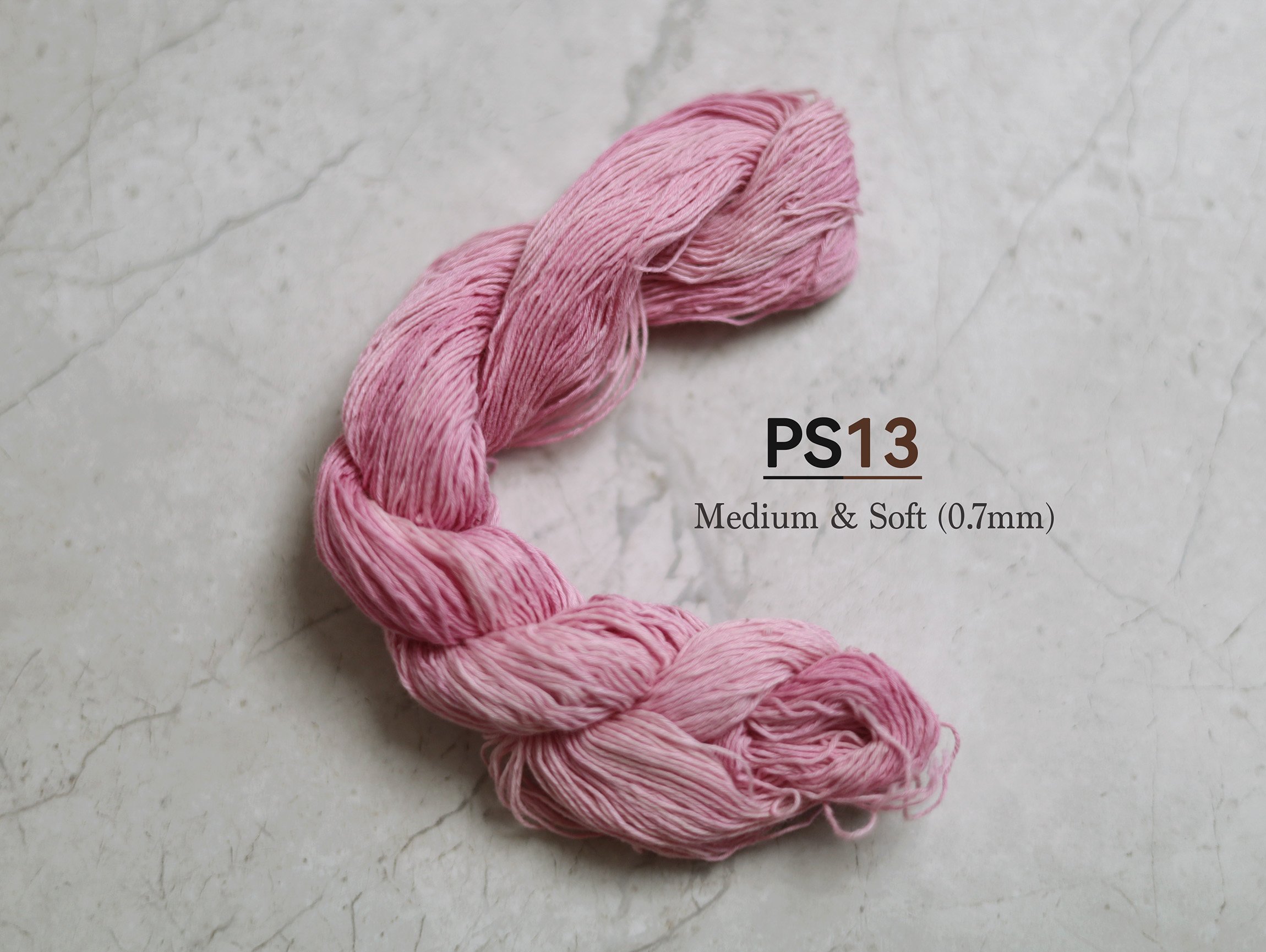 PS13_t.jpg