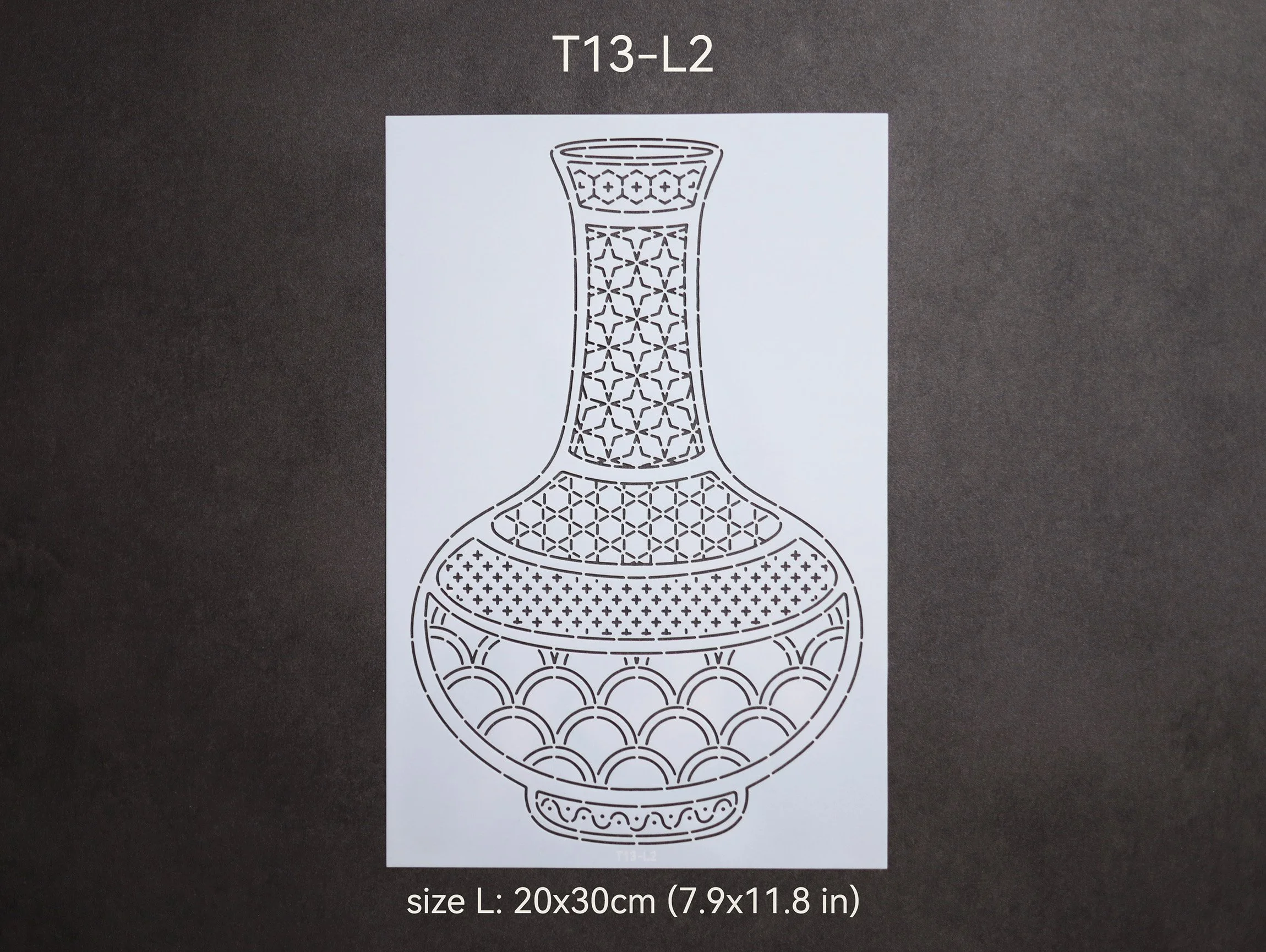 T13-L2_t.jpg