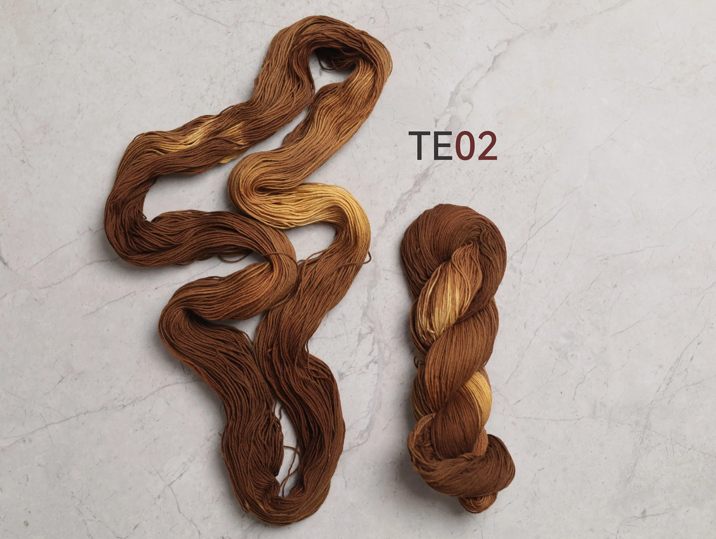 TE02_t_2026.jpg