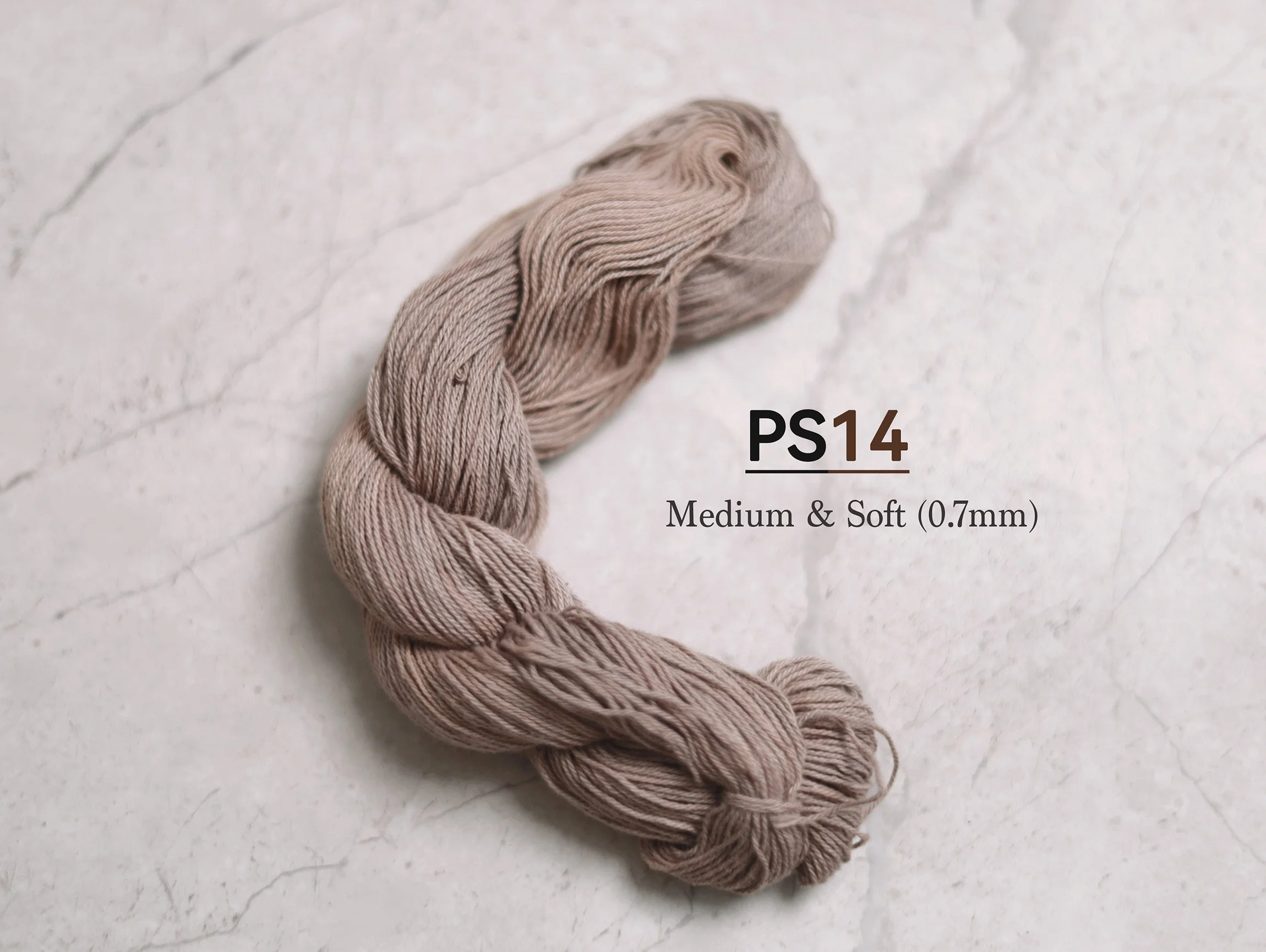 PS14_t.jpg