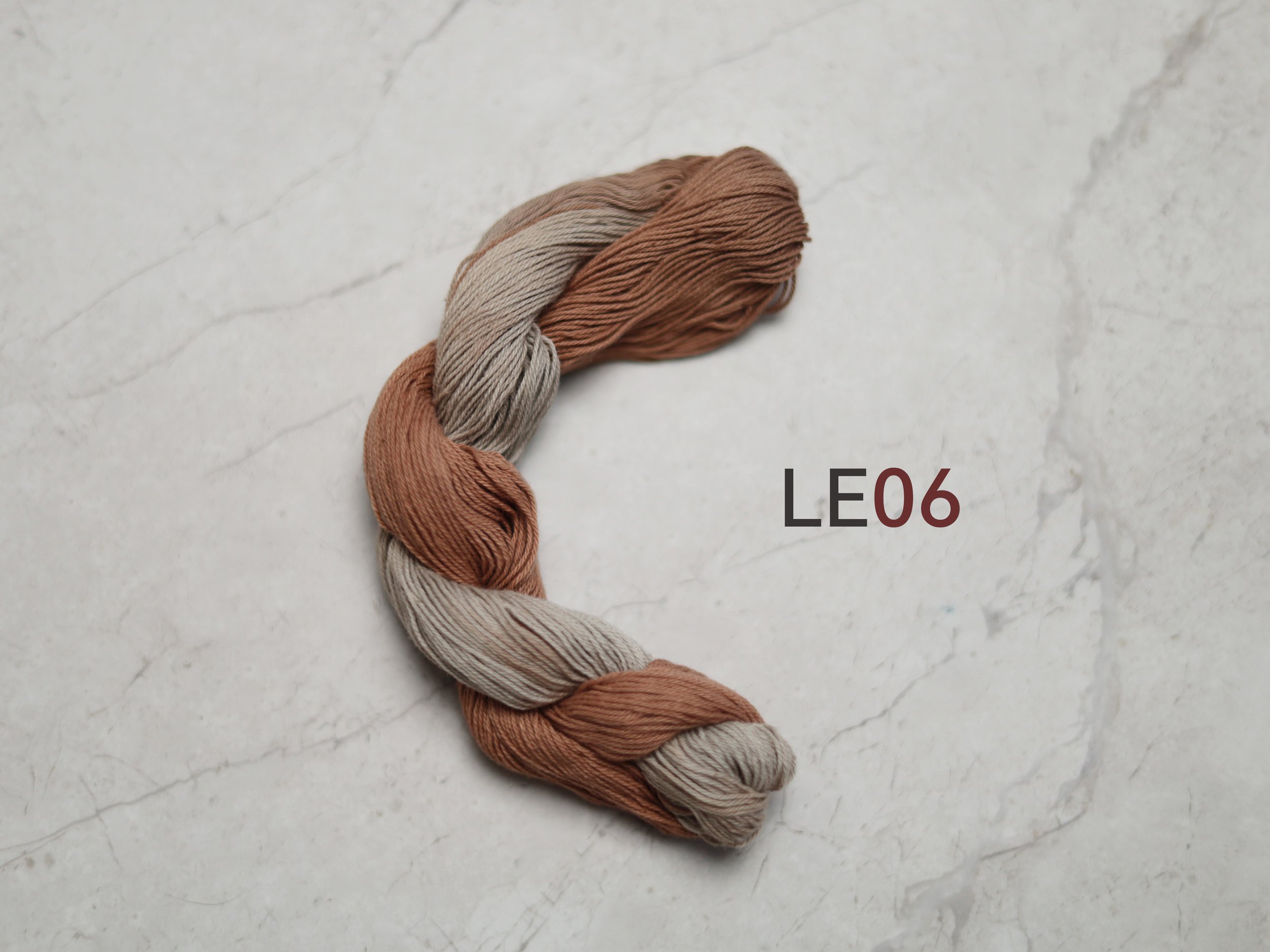 LE06_t.jpg