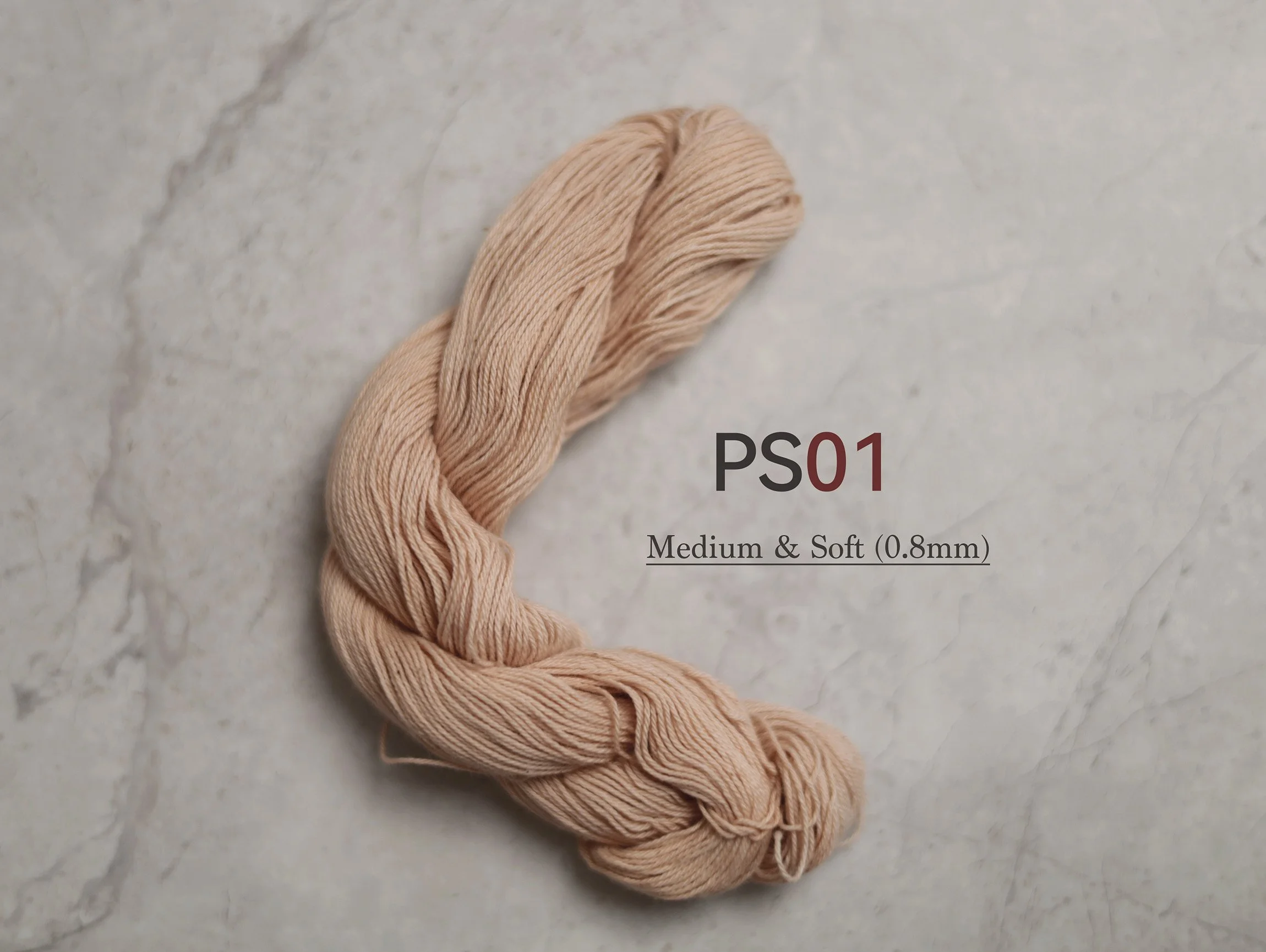 PS01_t.jpg