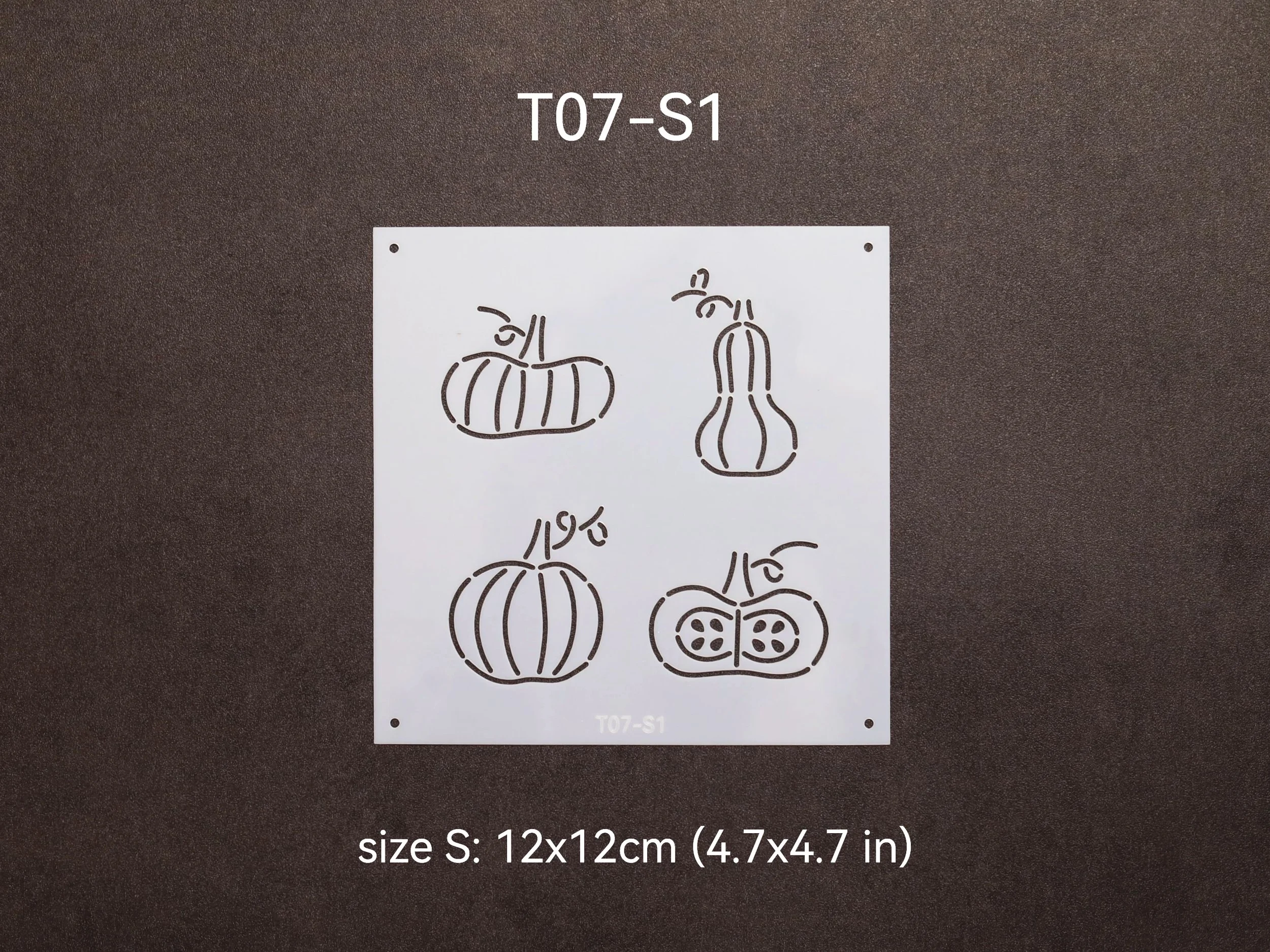 T07-S1_t.jpg