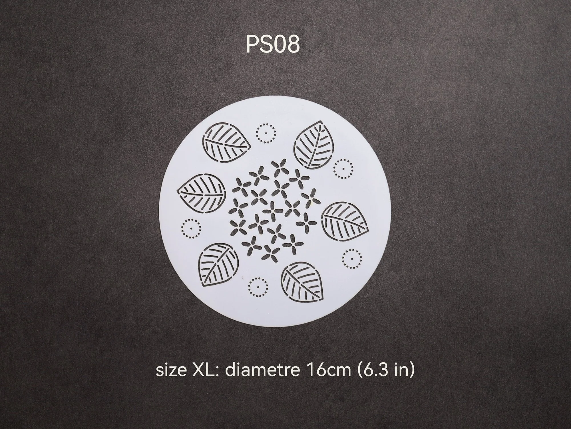 PS08-M.jpg