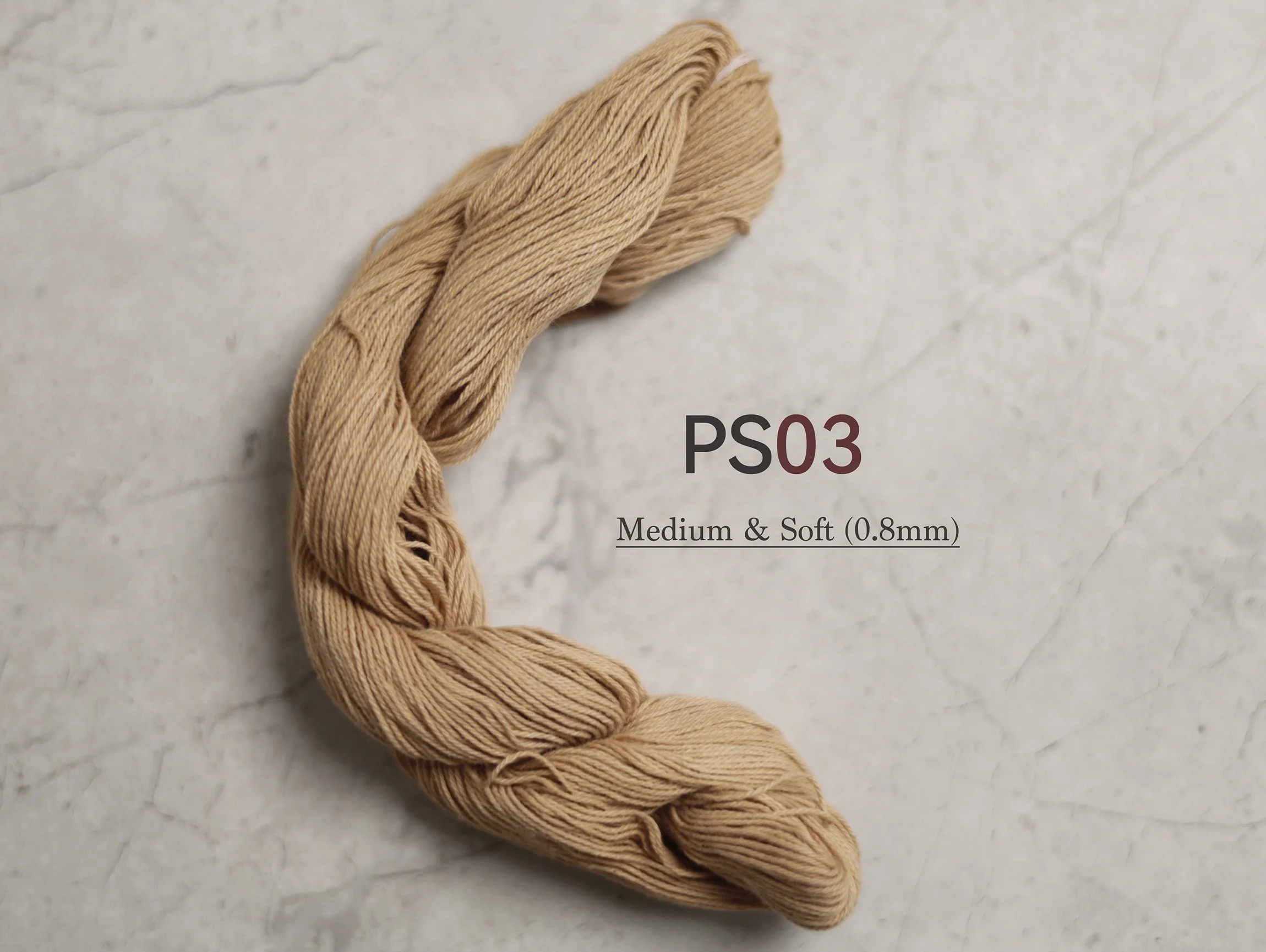 PS03_t.jpg