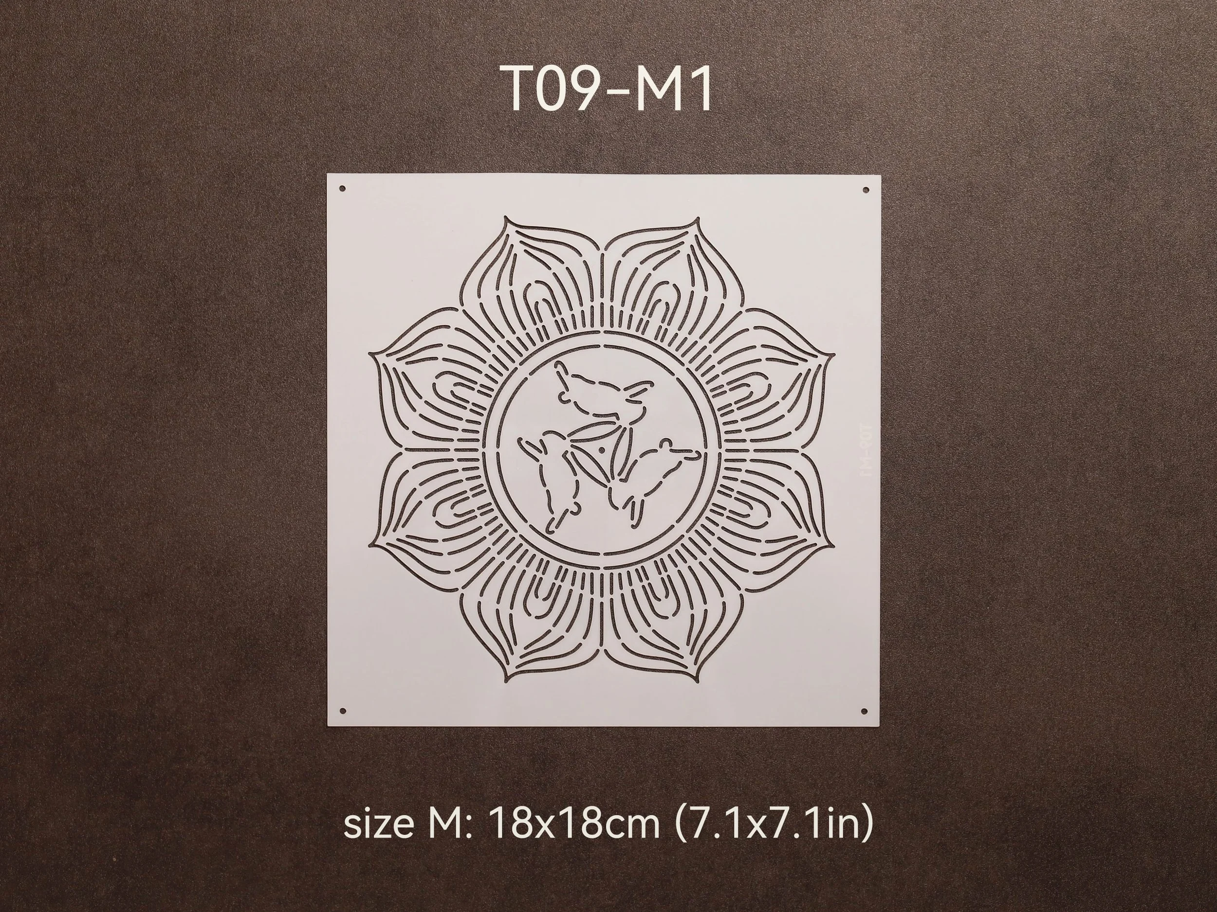 T09-M1_t.jpg