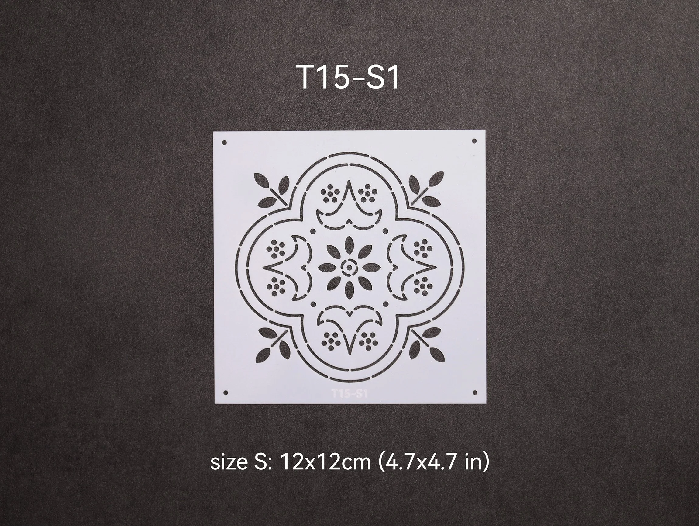 T15-S1_t.jpg