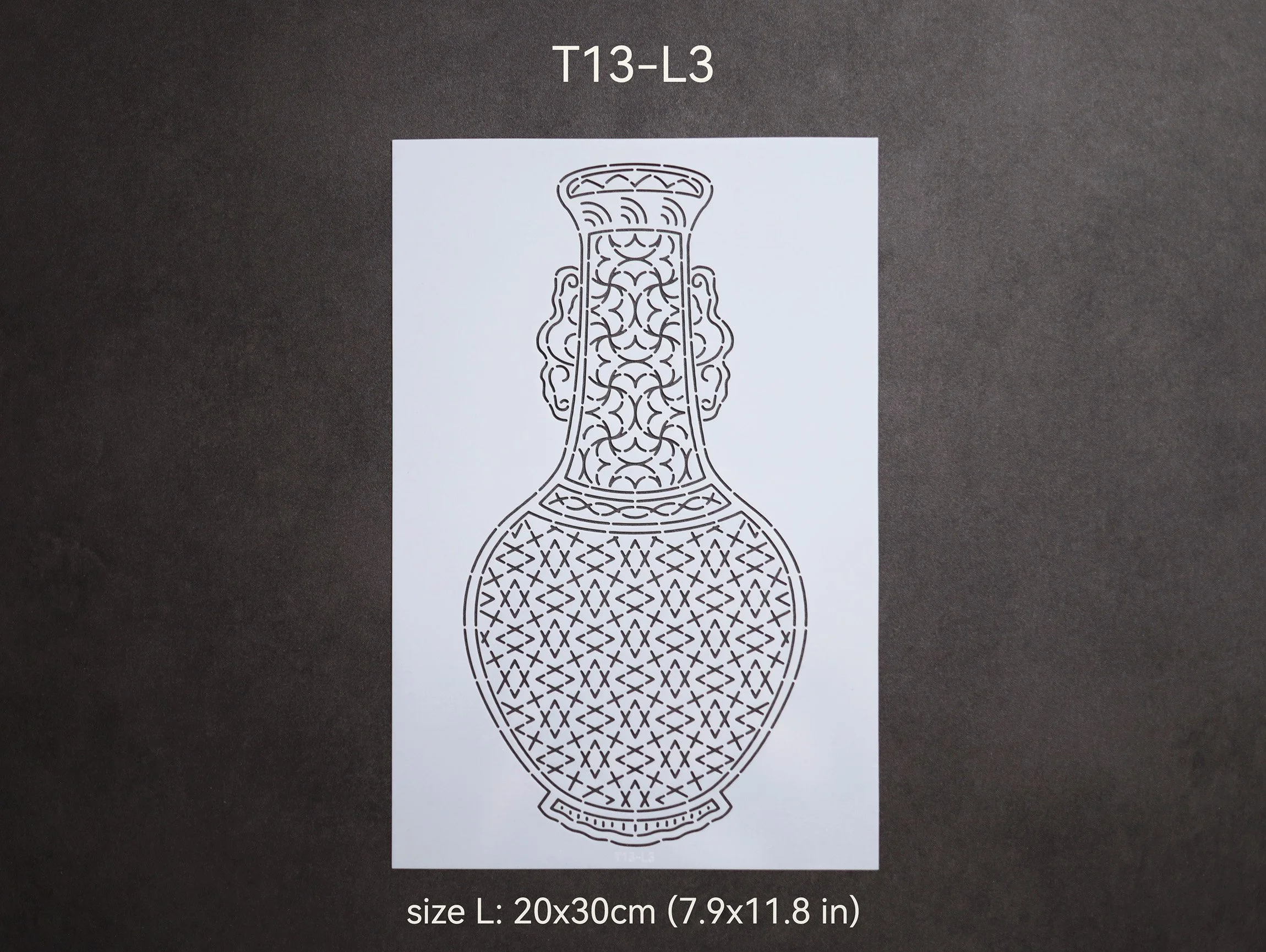 T13-L3_t.jpg